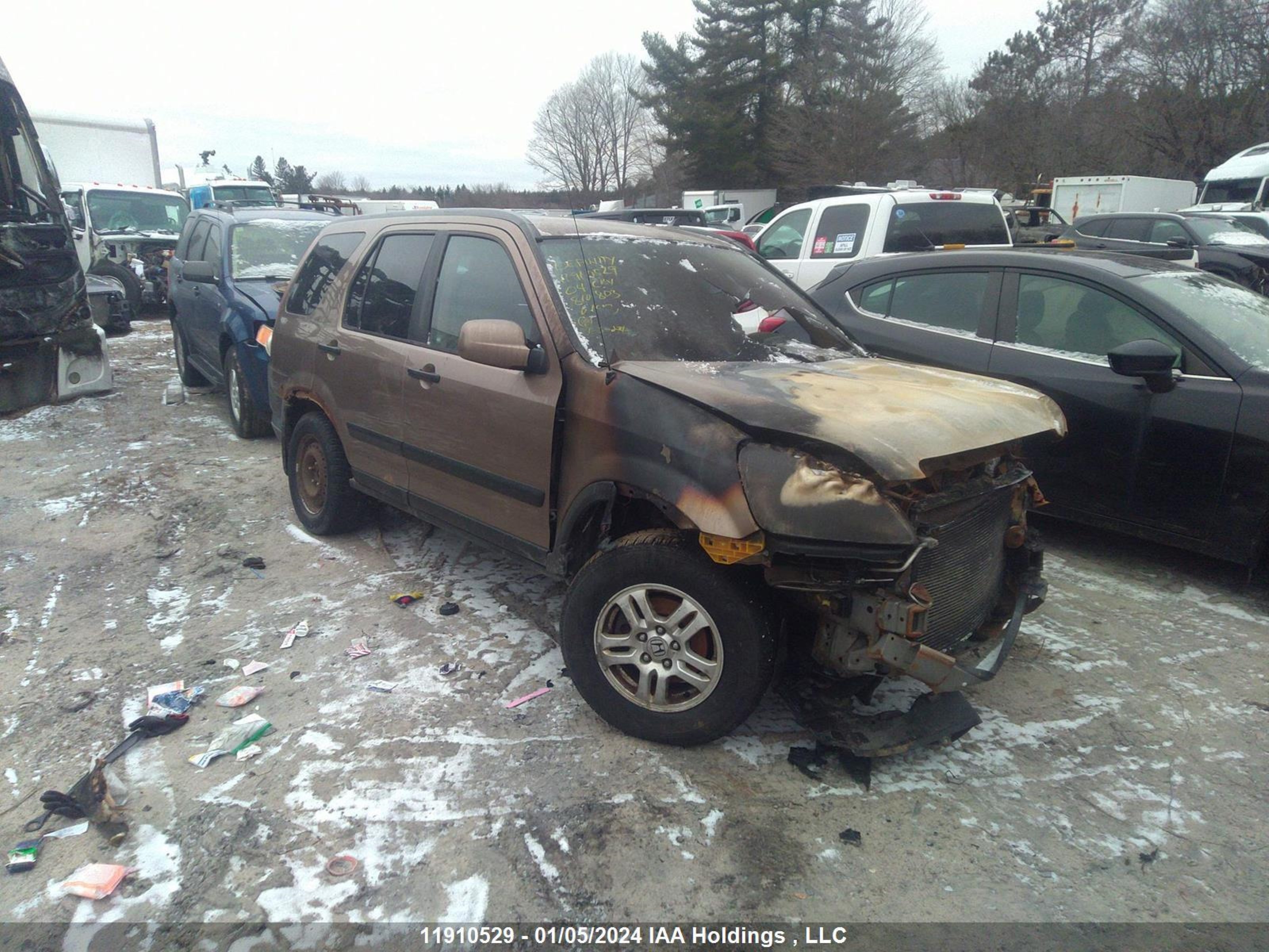 HONDA CR-V 2004 jhlrd78824c810803