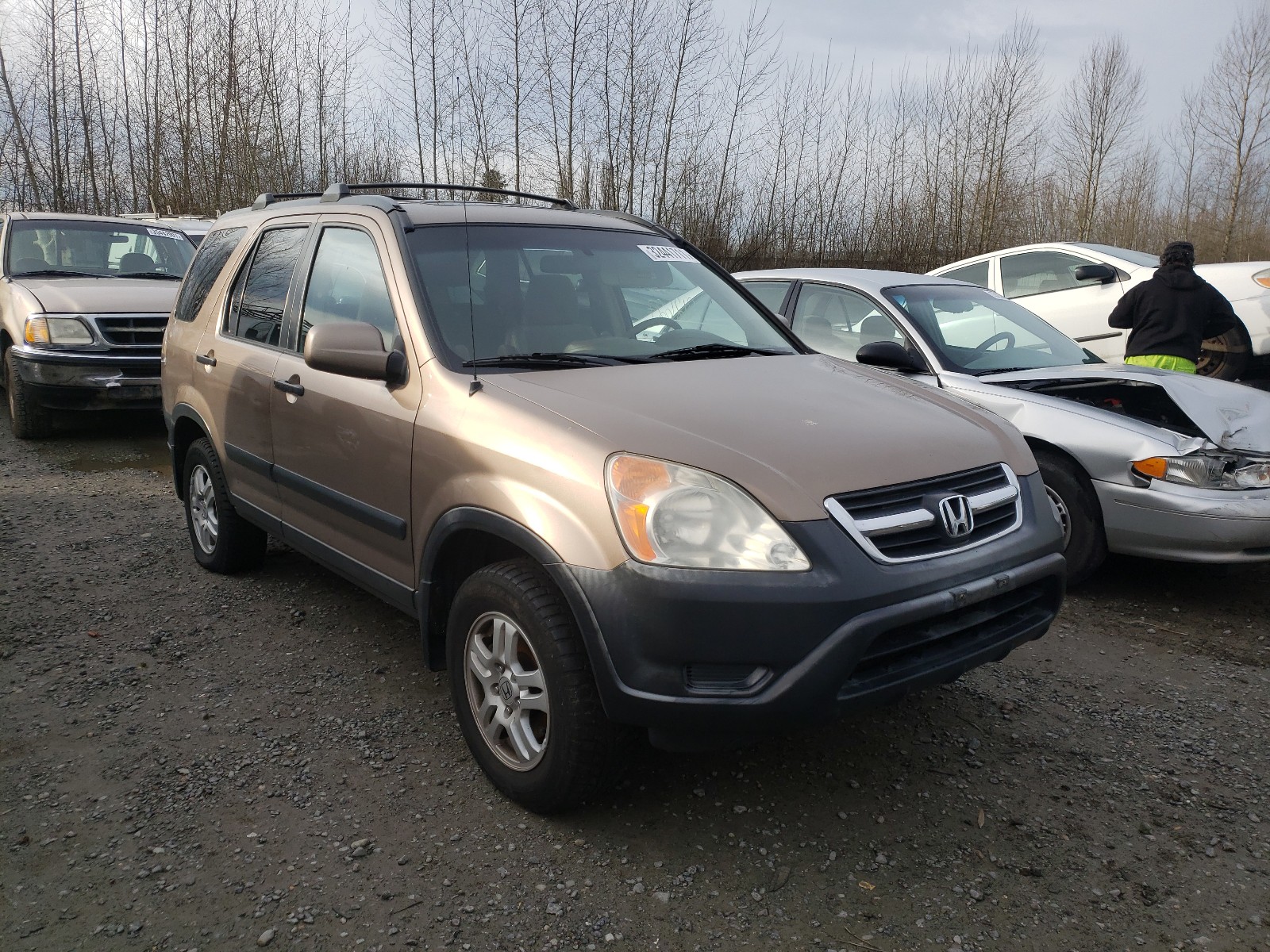 HONDA CR-V EX 2004 jhlrd78834c006381