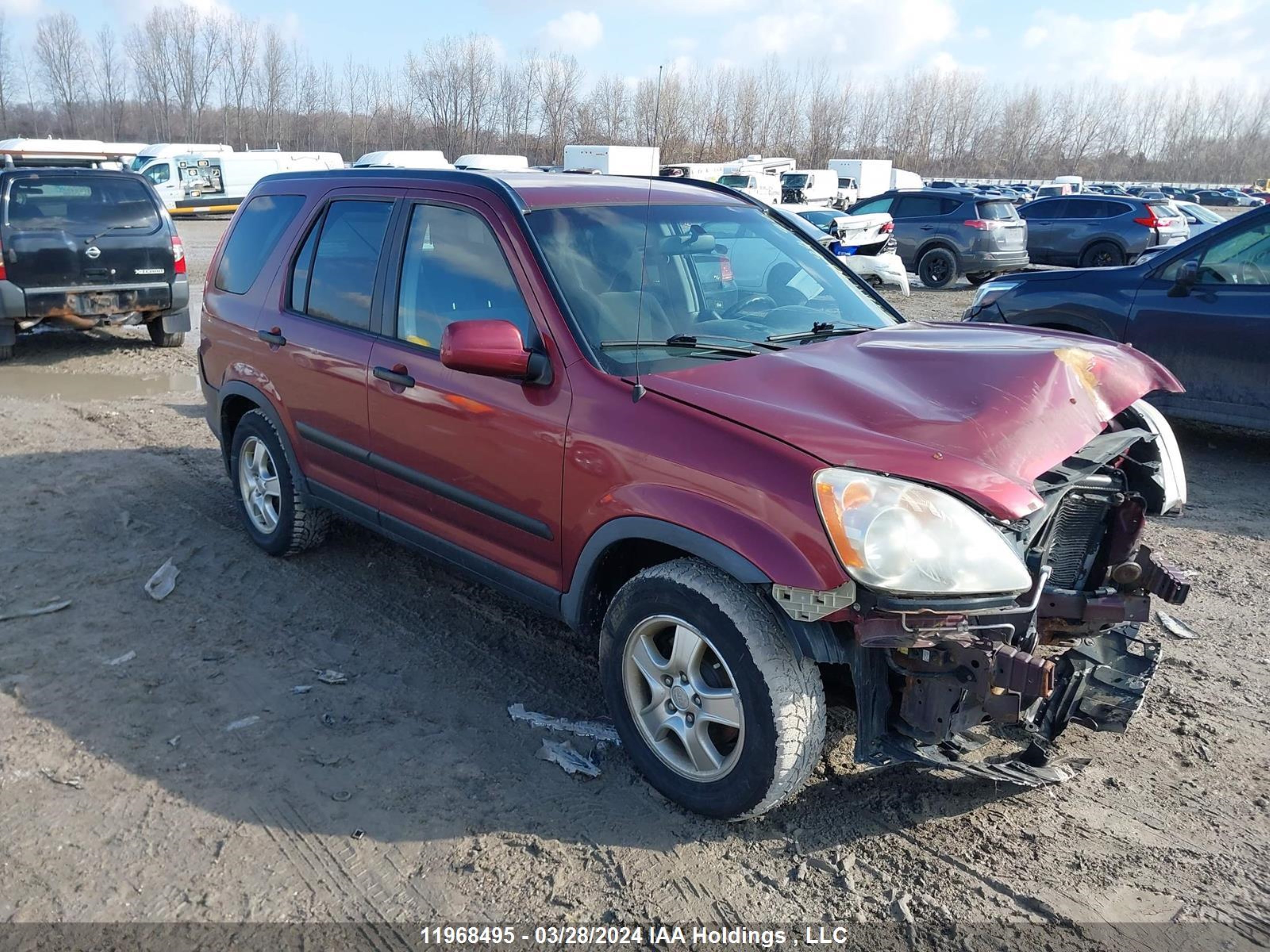 HONDA CR-V 2006 jhlrd78856c809647