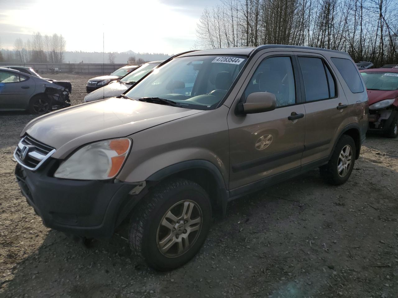 HONDA CR-V 2004 jhlrd78864c038564