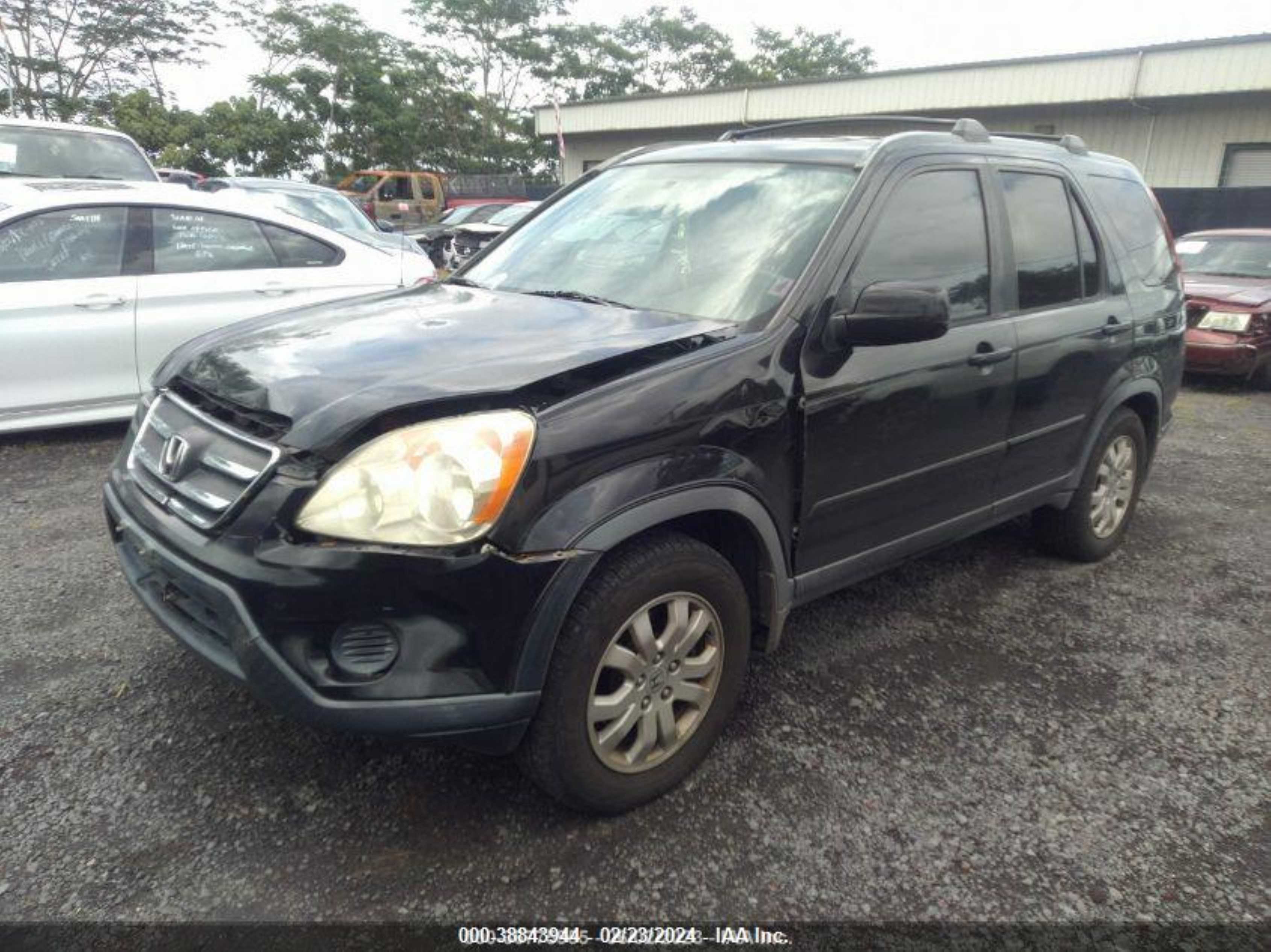 HONDA CR-V 2006 jhlrd78906c048129