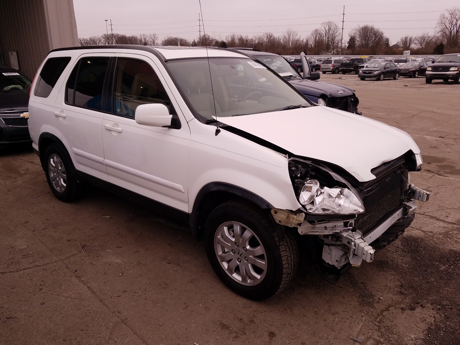 HONDA CR-V SE 2005 jhlrd78925c035087