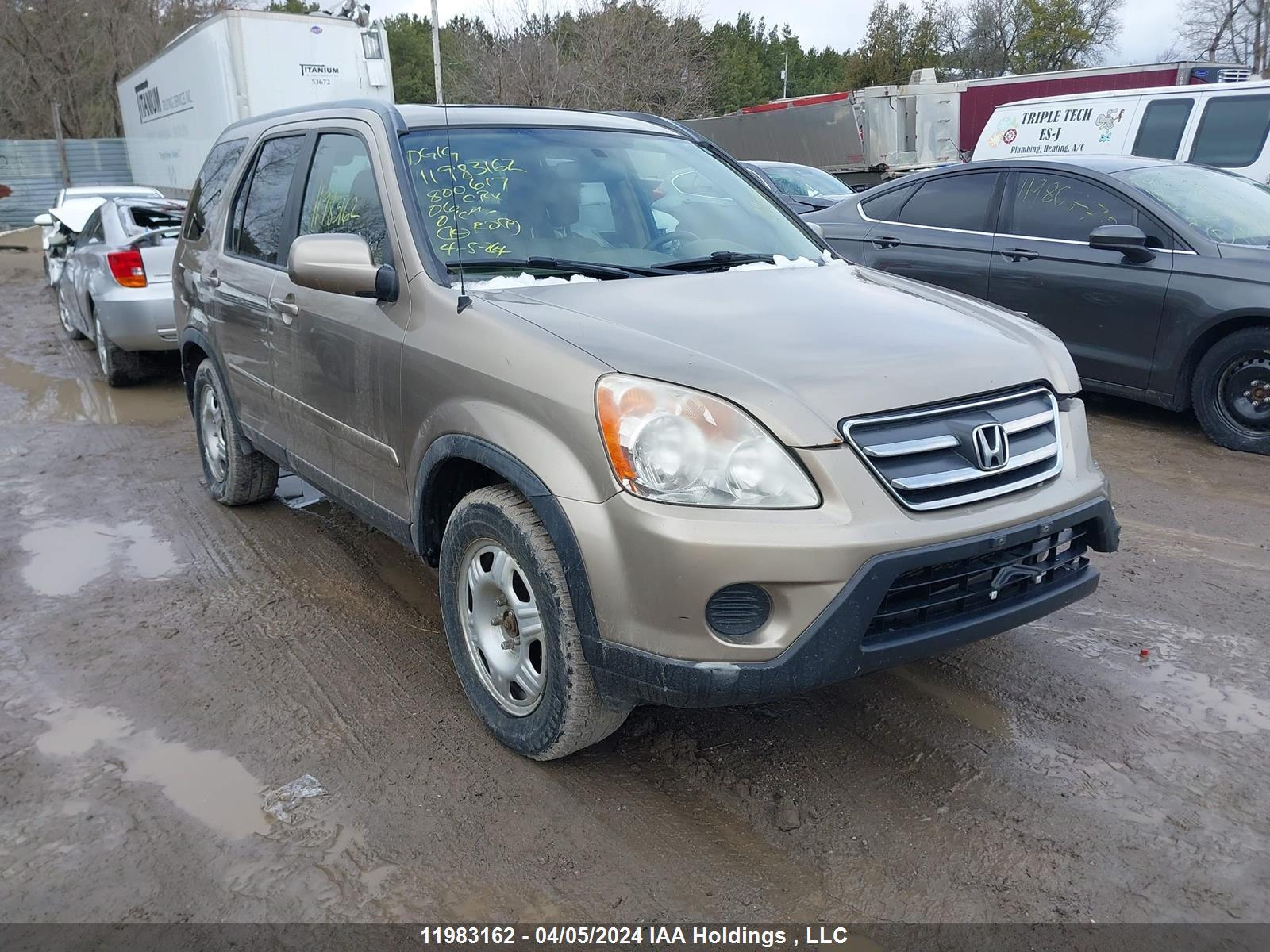 HONDA CR-V 2006 jhlrd78956c800617