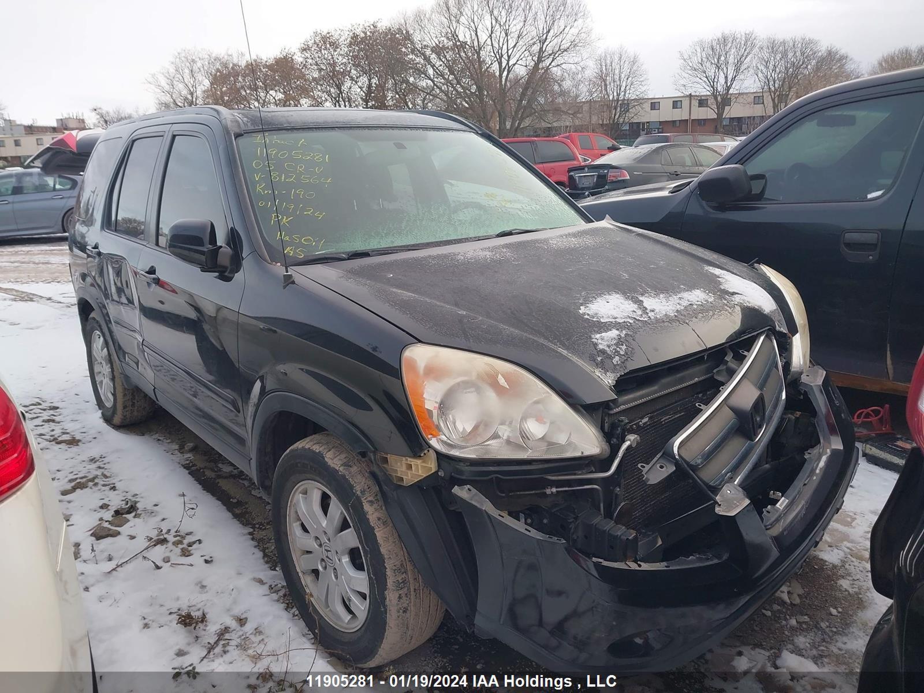 HONDA CR-V 2005 jhlrd78965c812564