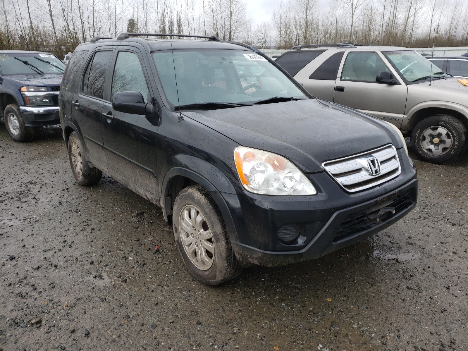 HONDA CR-V SE 2005 jhlrd78975c008242