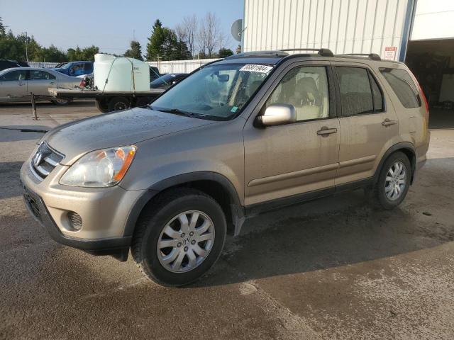 HONDA CR-V SE 2006 jhlrd78976c802031