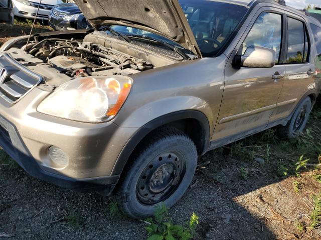 HONDA CRV 2005 jhlrd789x5c801423