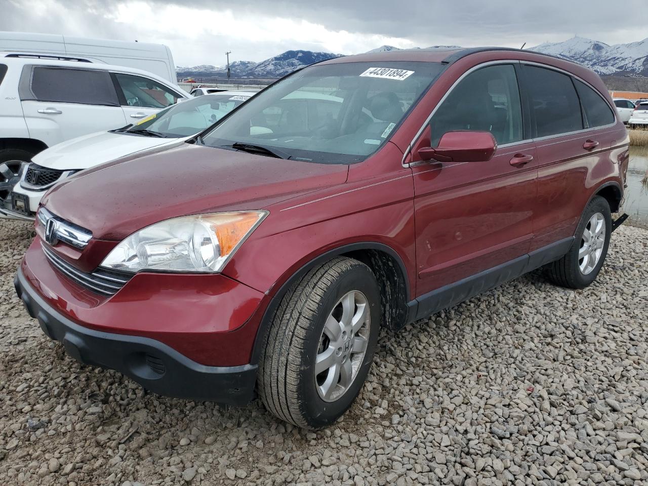 HONDA CR-V 2007 jhlre48777c054411