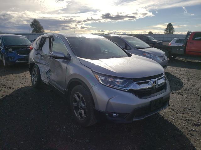 HONDA CR-V EX 2019 jhlrw2h5xkx018584