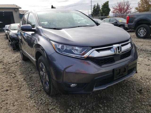 HONDA CR-V EX 2019 jhlrw2h5xkx022442