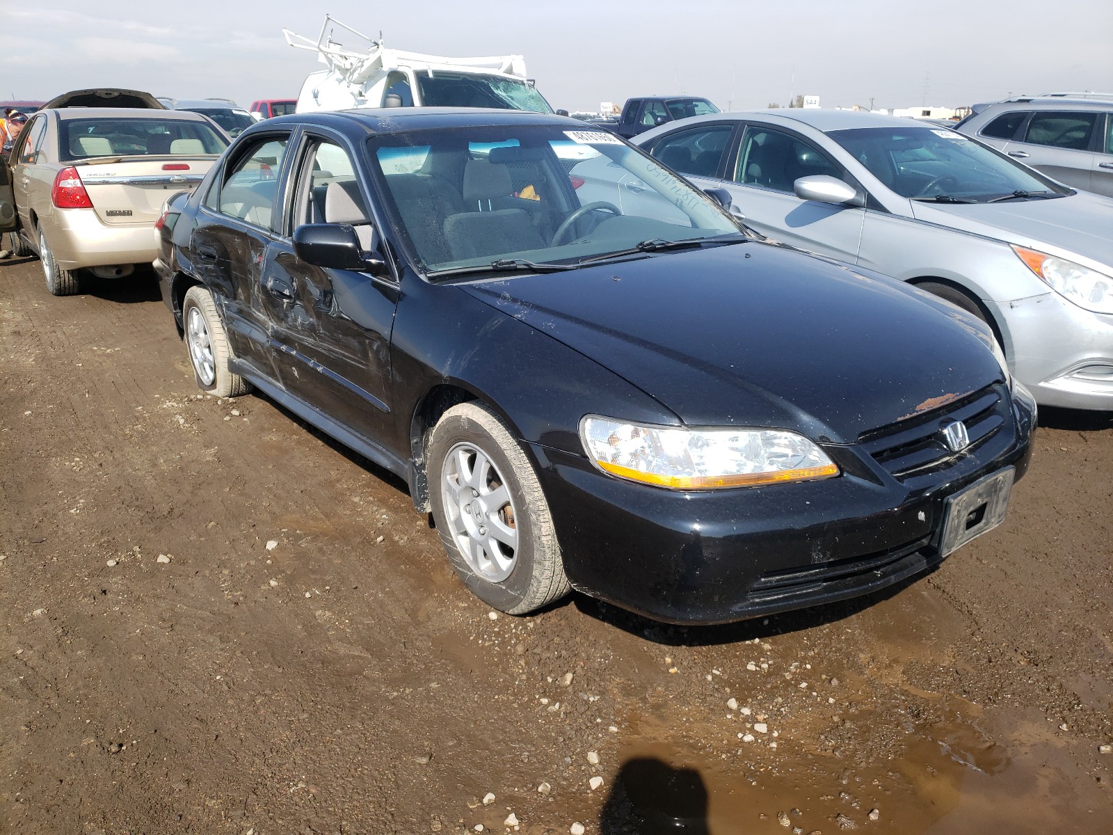 HONDA ACCORD SE 2002 jhmcg56742c029866