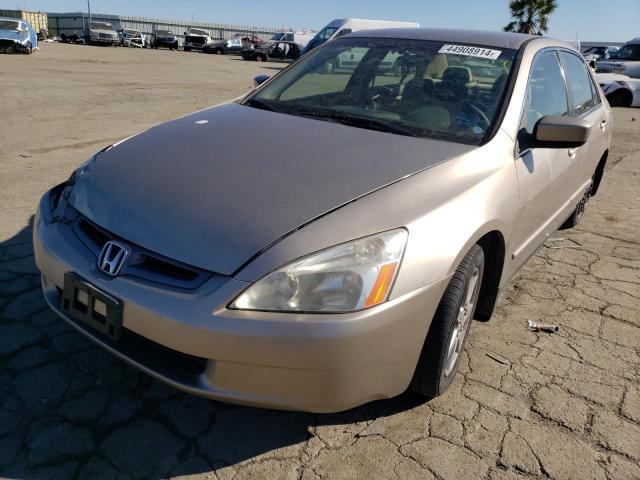 HONDA ACCORD 2003 jhmcm56323c026231