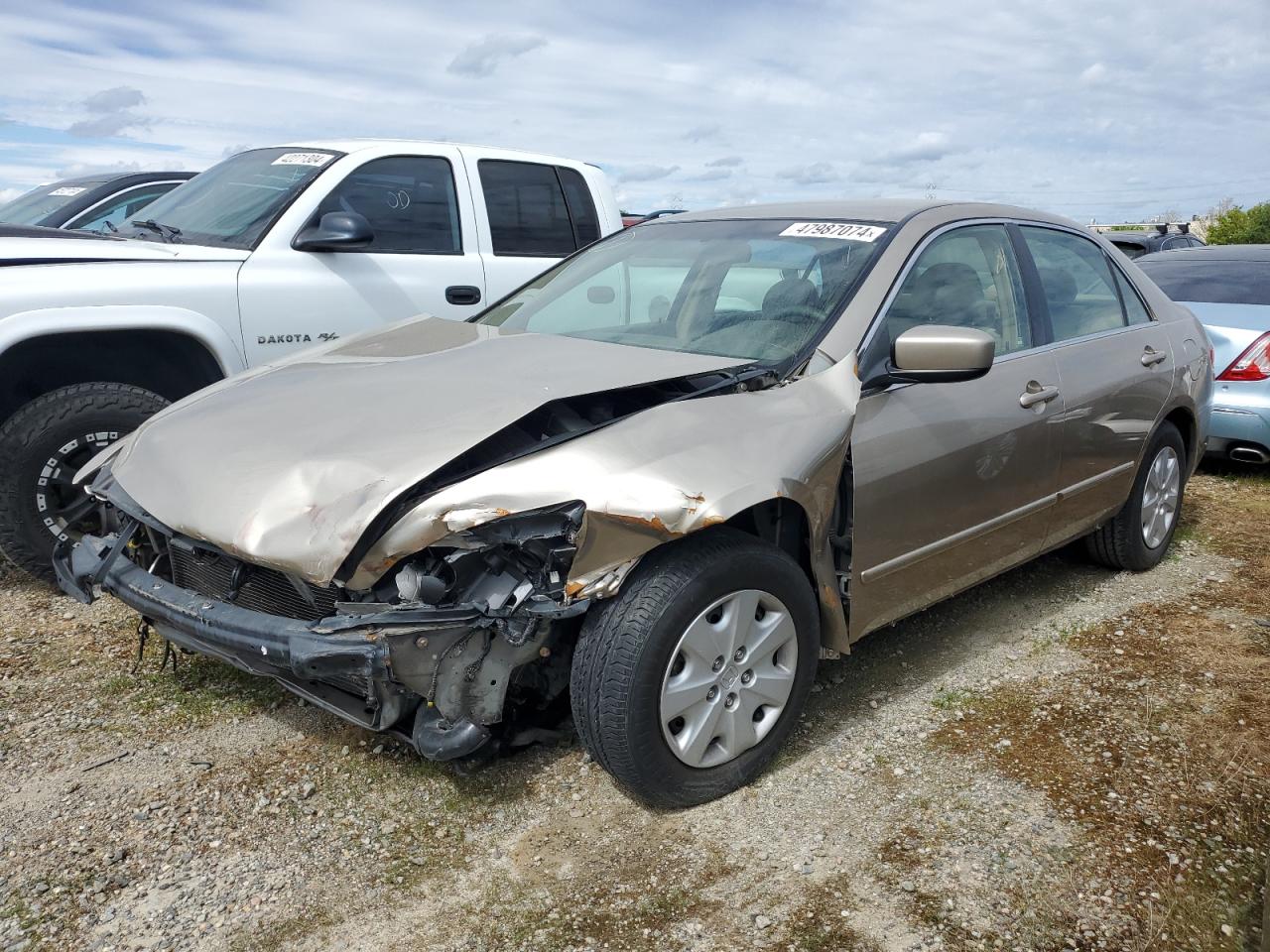 HONDA ACCORD 2004 jhmcm56364c009319