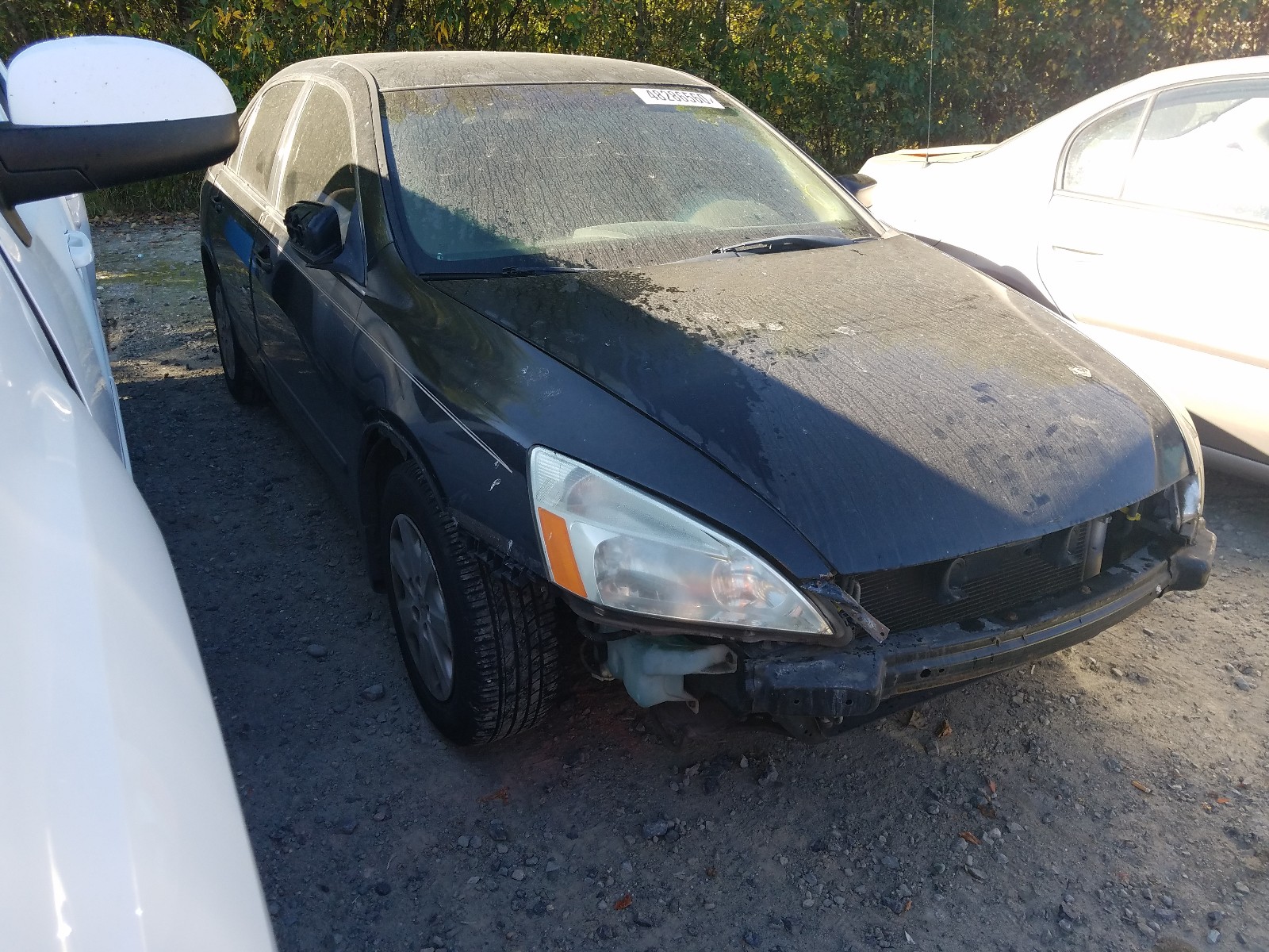 HONDA ACCORD LX 2003 jhmcm56393c016926