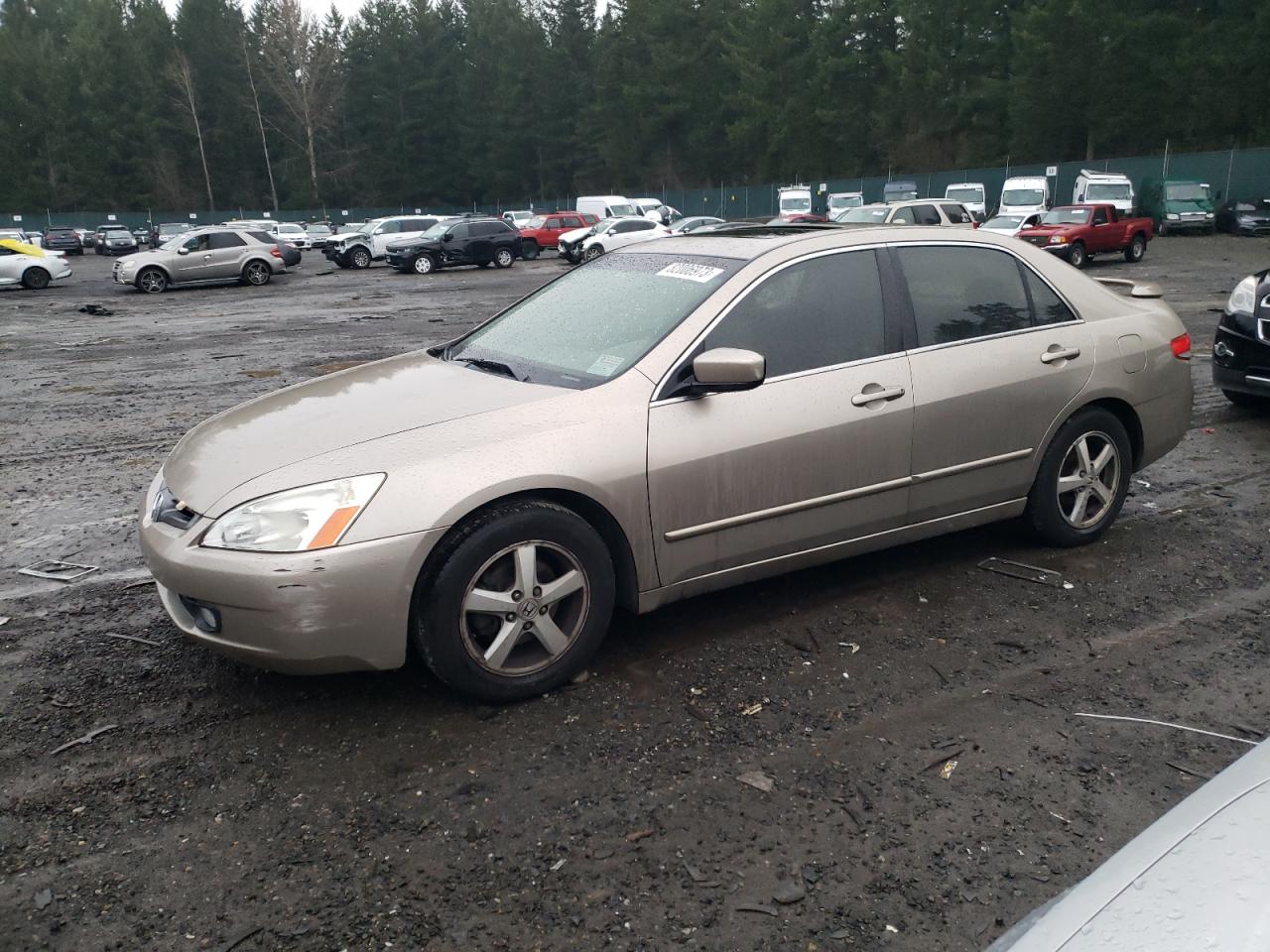 HONDA ACCORD 2003 jhmcm56683c026132