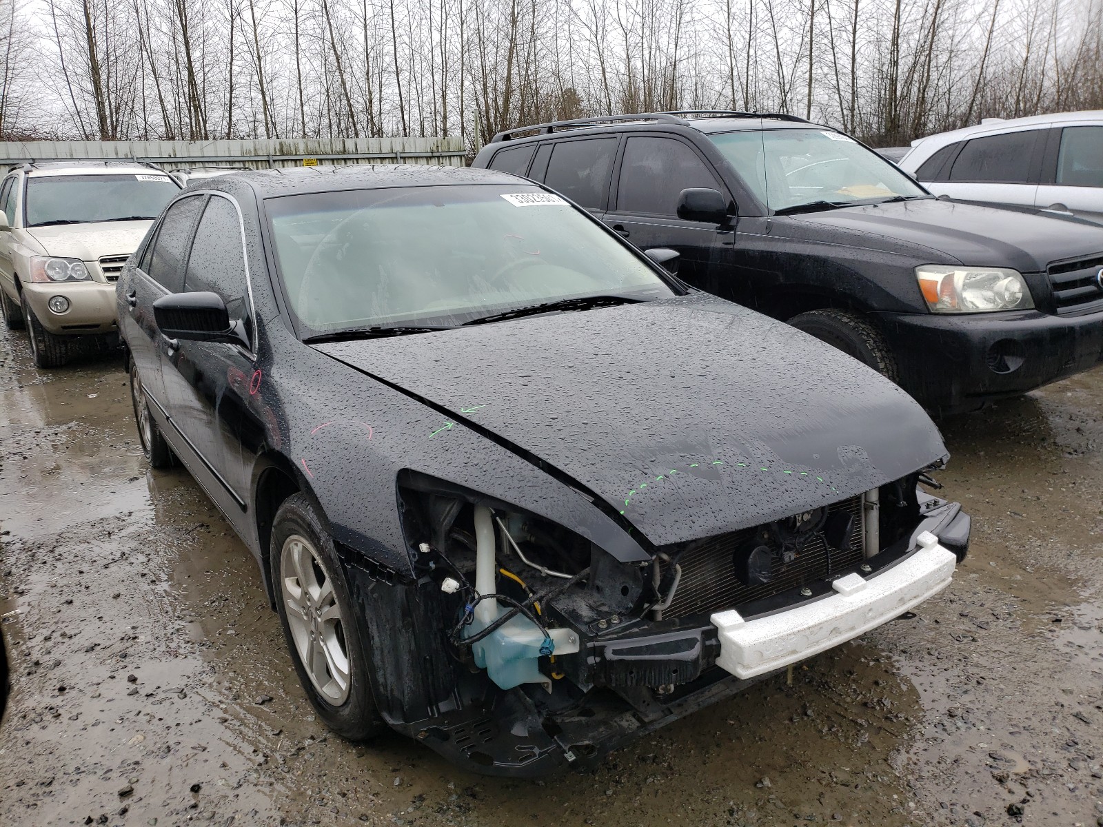 HONDA ACCORD EX 2006 jhmcm56836c003461