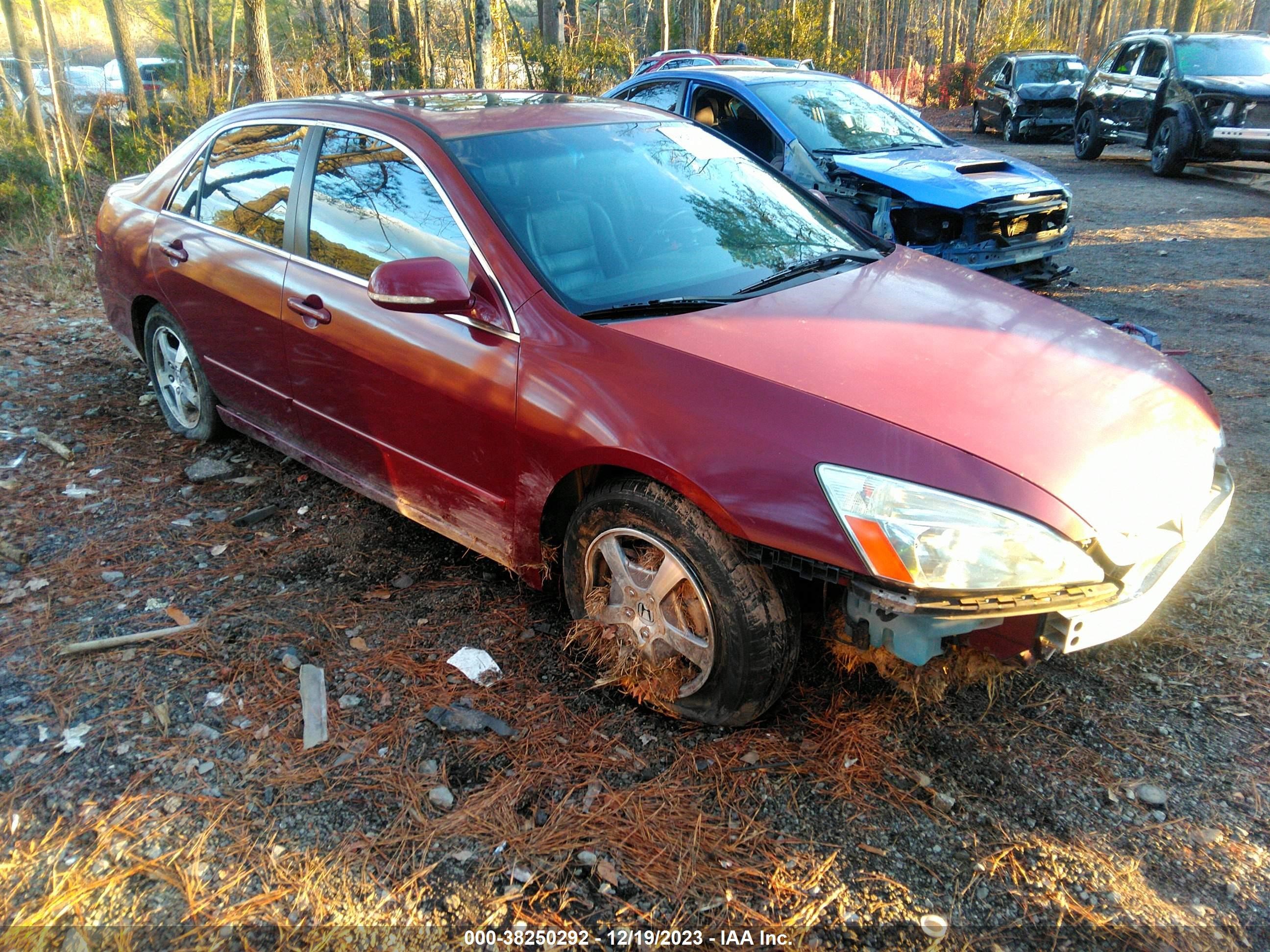 HONDA ACCORD 2006 jhmcn36436c000607