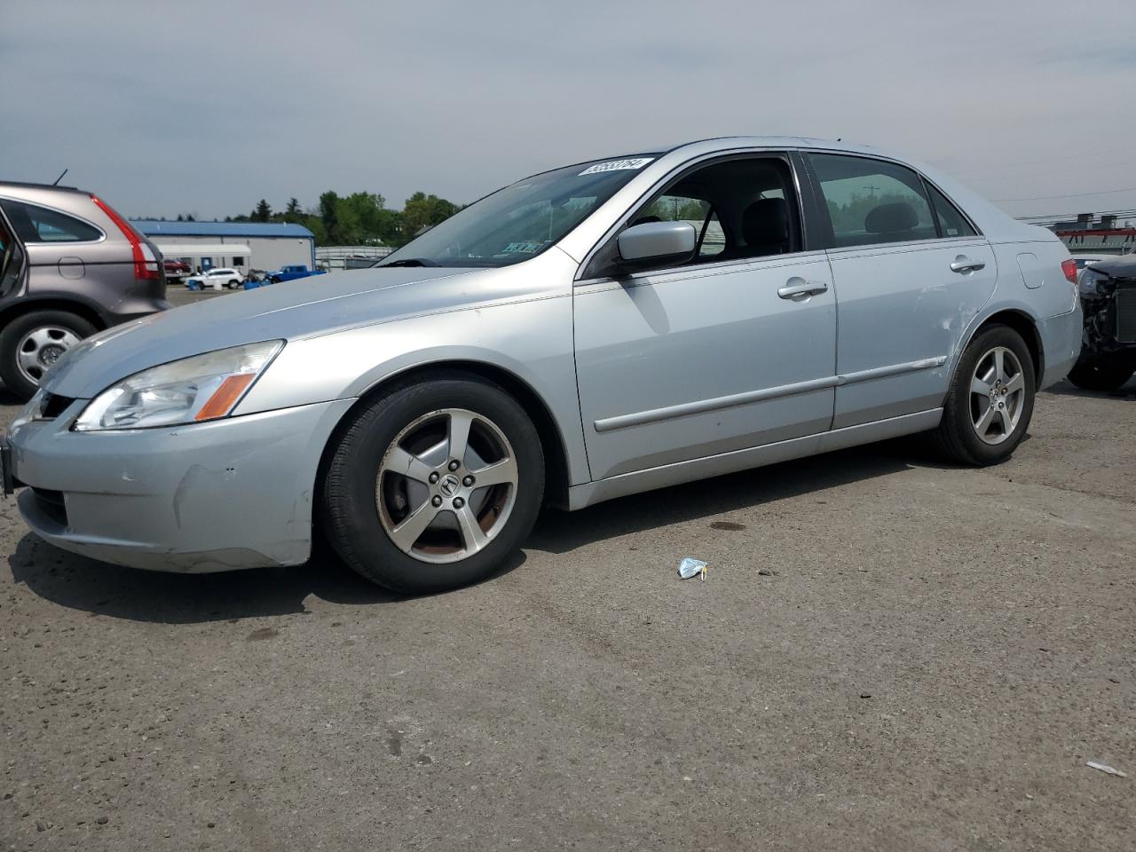 HONDA ACCORD 2005 jhmcn36495c006345