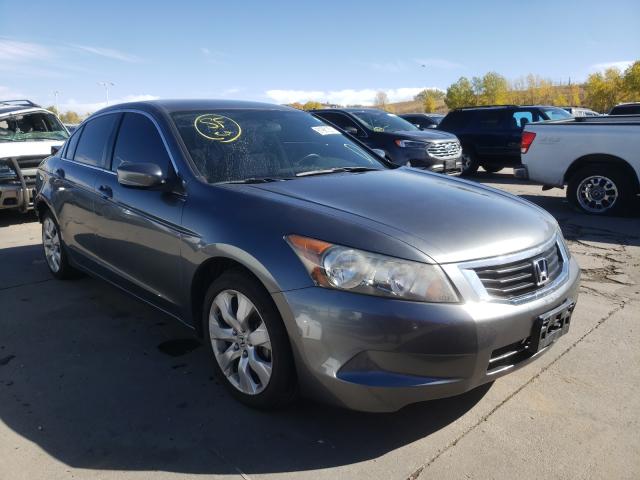 HONDA ACCORD LX 2009 jhmcp26329c011369