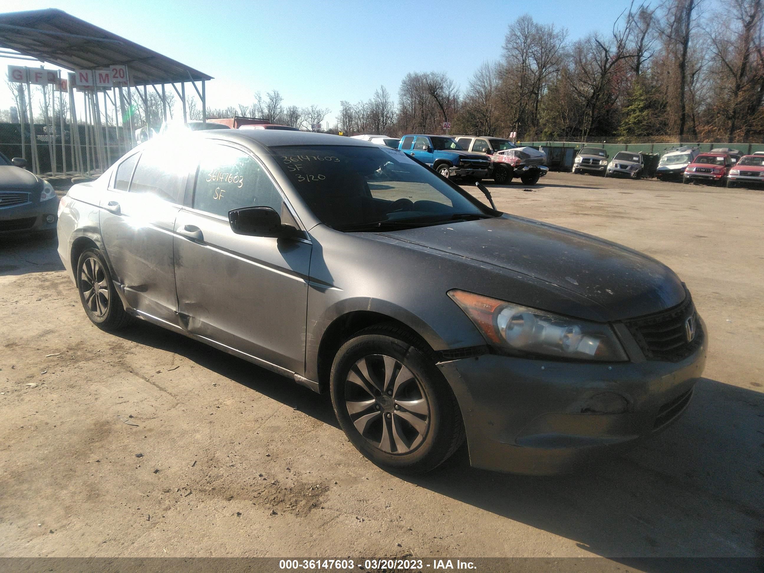 HONDA ACCORD 2009 jhmcp26389c016379