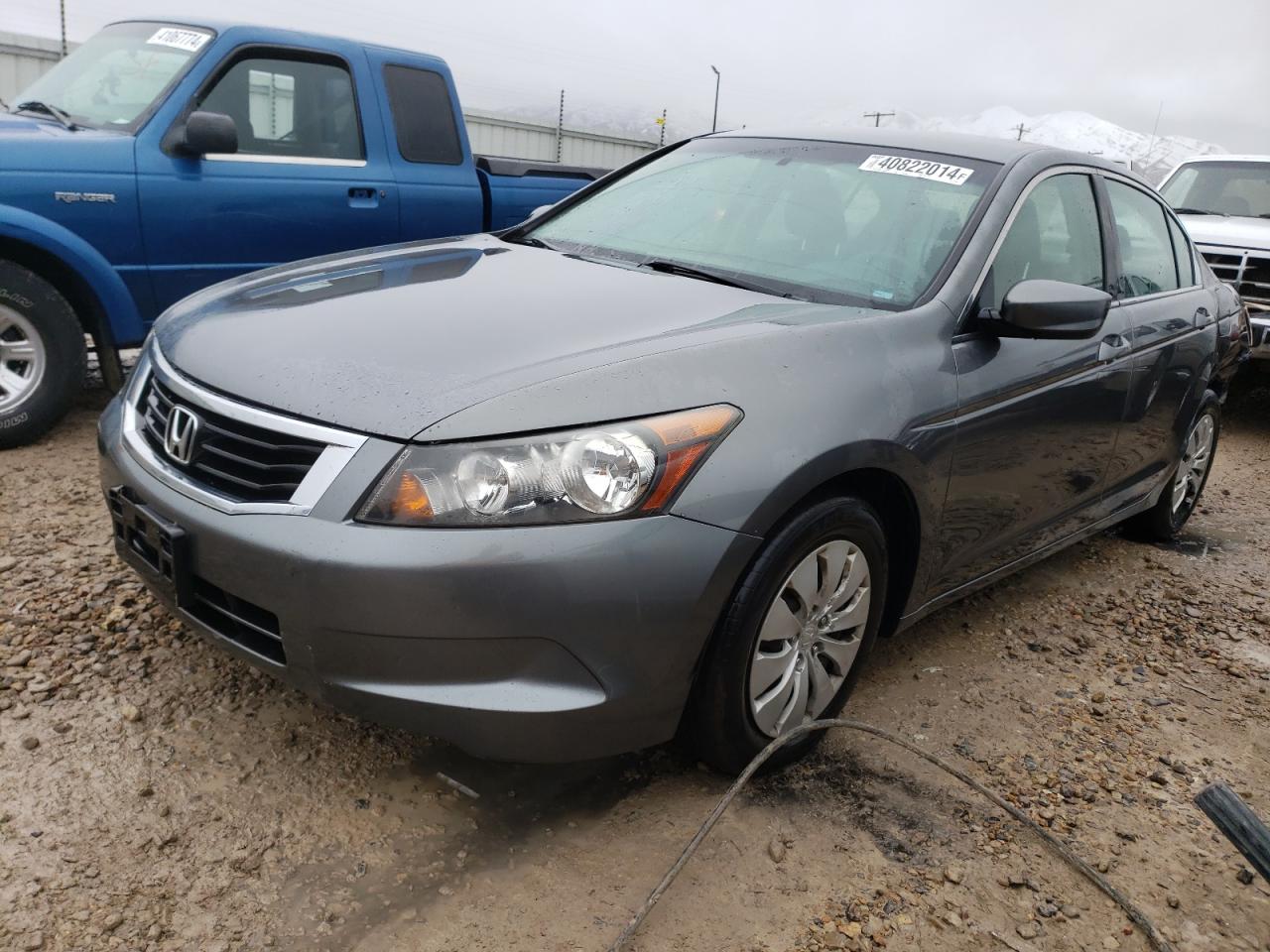 HONDA ACCORD 2009 jhmcp26399c016004