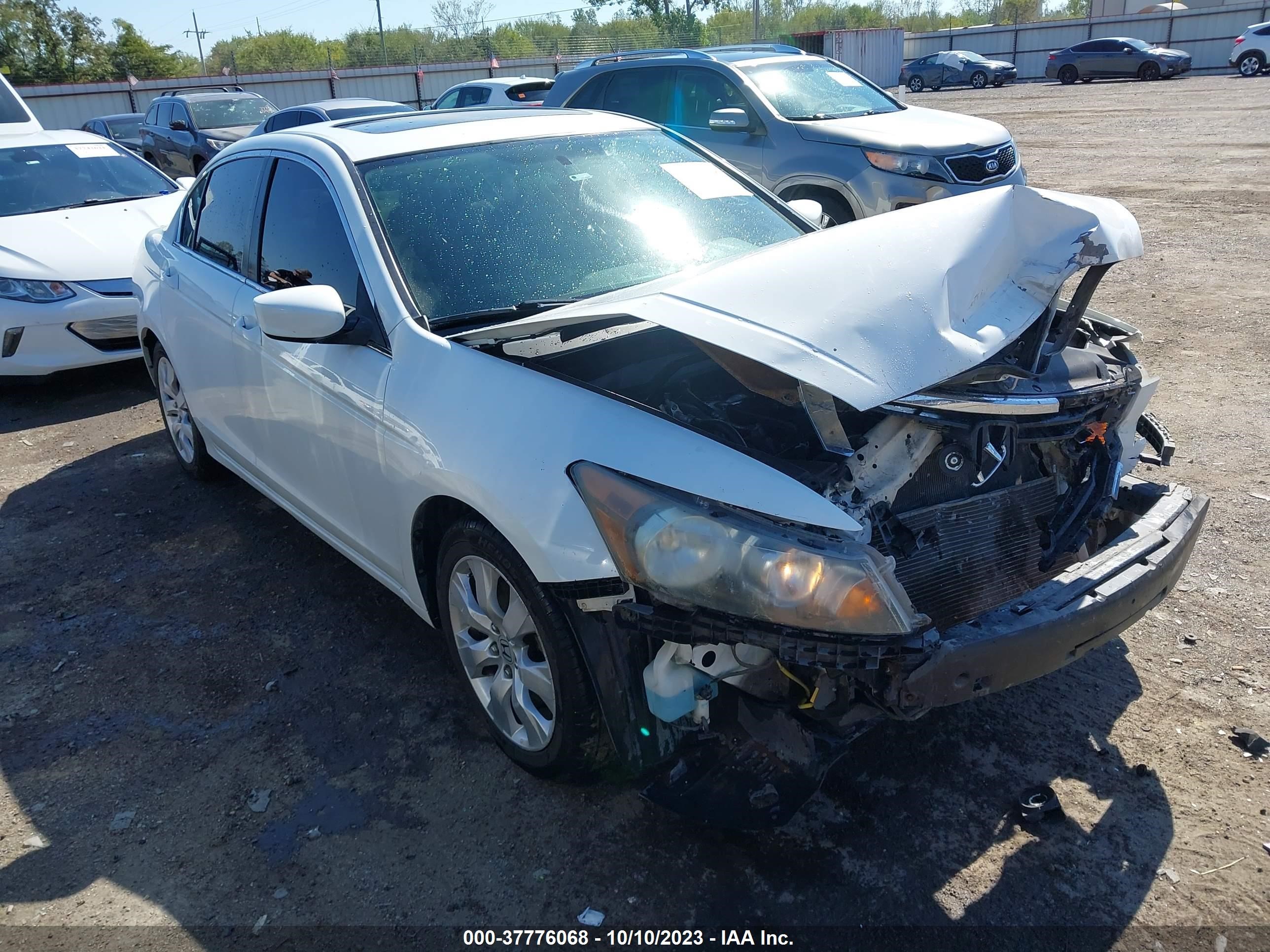 HONDA ACCORD 2009 jhmcp26799c011419