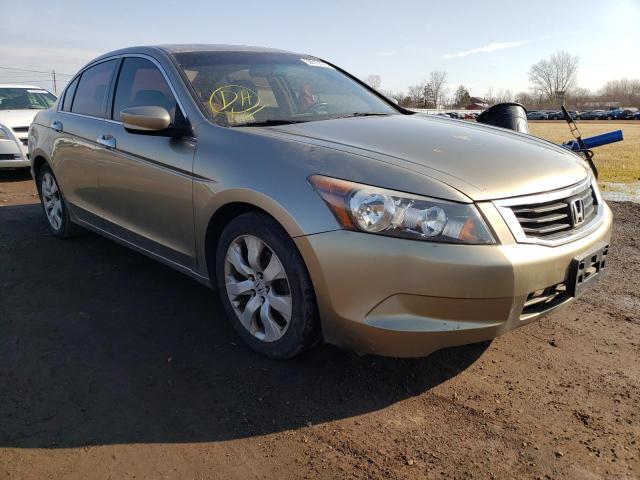 HONDA ACCORD EXL 2008 jhmcp26828c023371