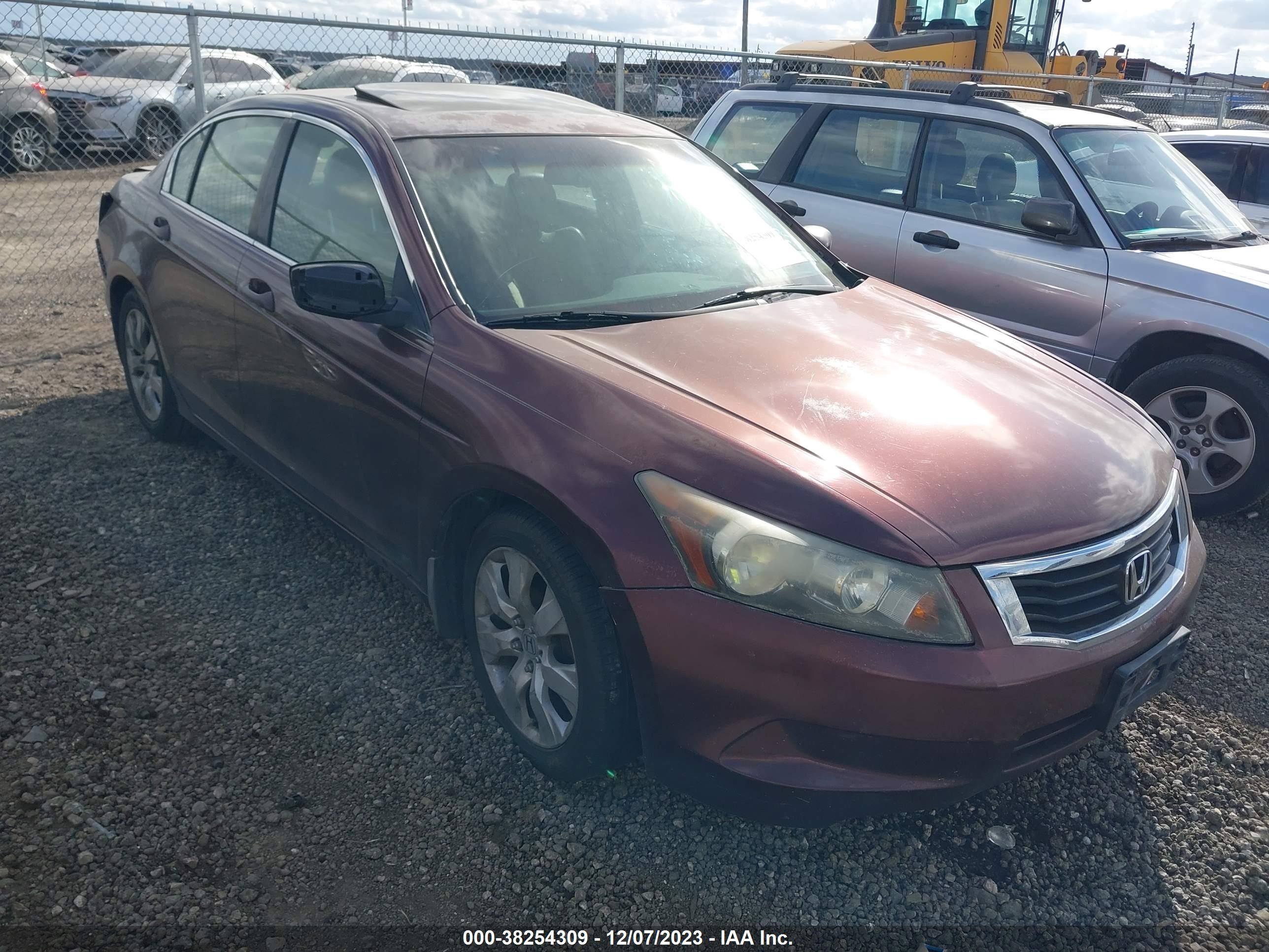 HONDA ACCORD 2008 jhmcp26838c075916