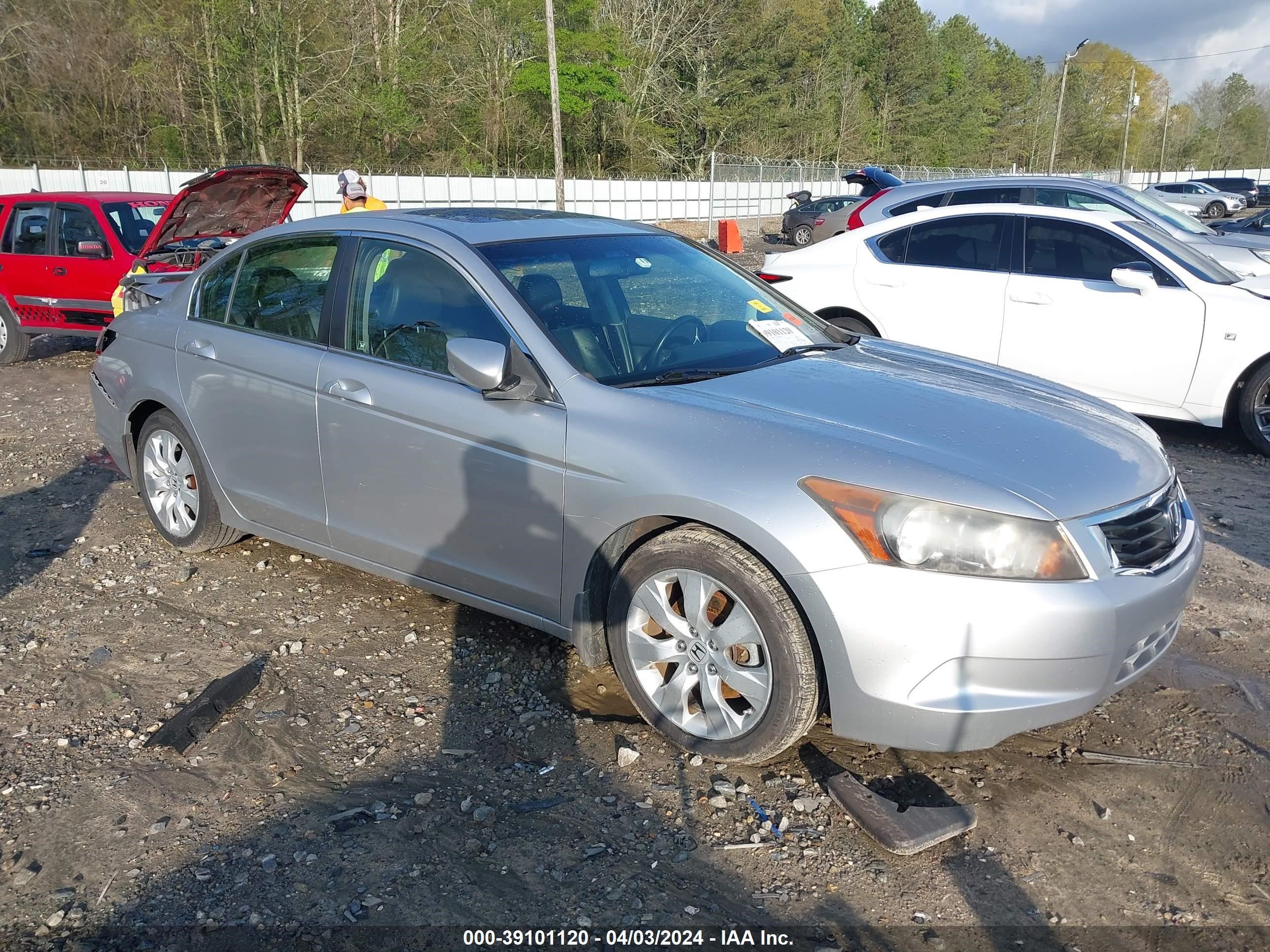 HONDA ACCORD 2008 jhmcp26858c066876