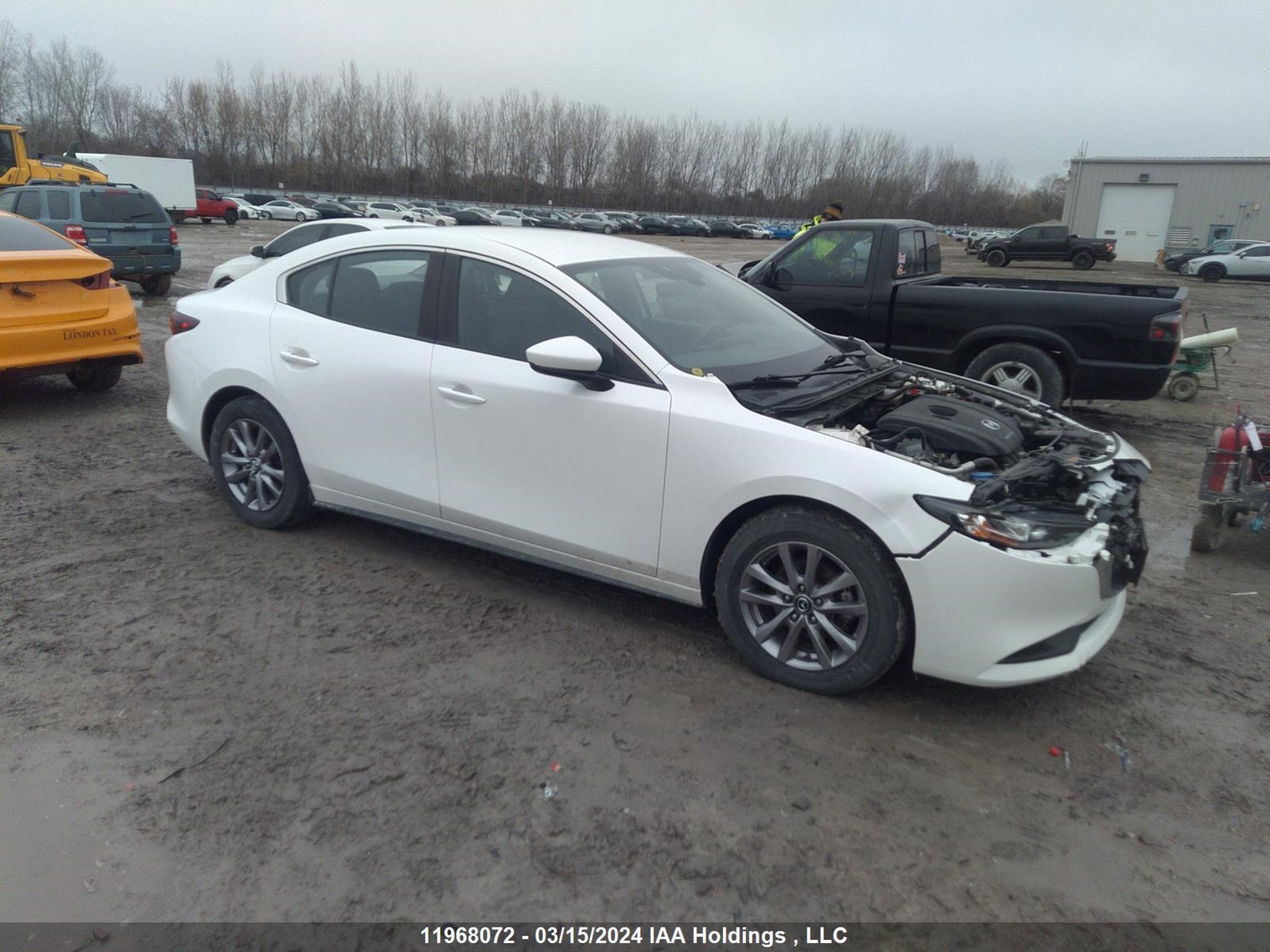 MAZDA 3 2019 jm1bpab71k1102375