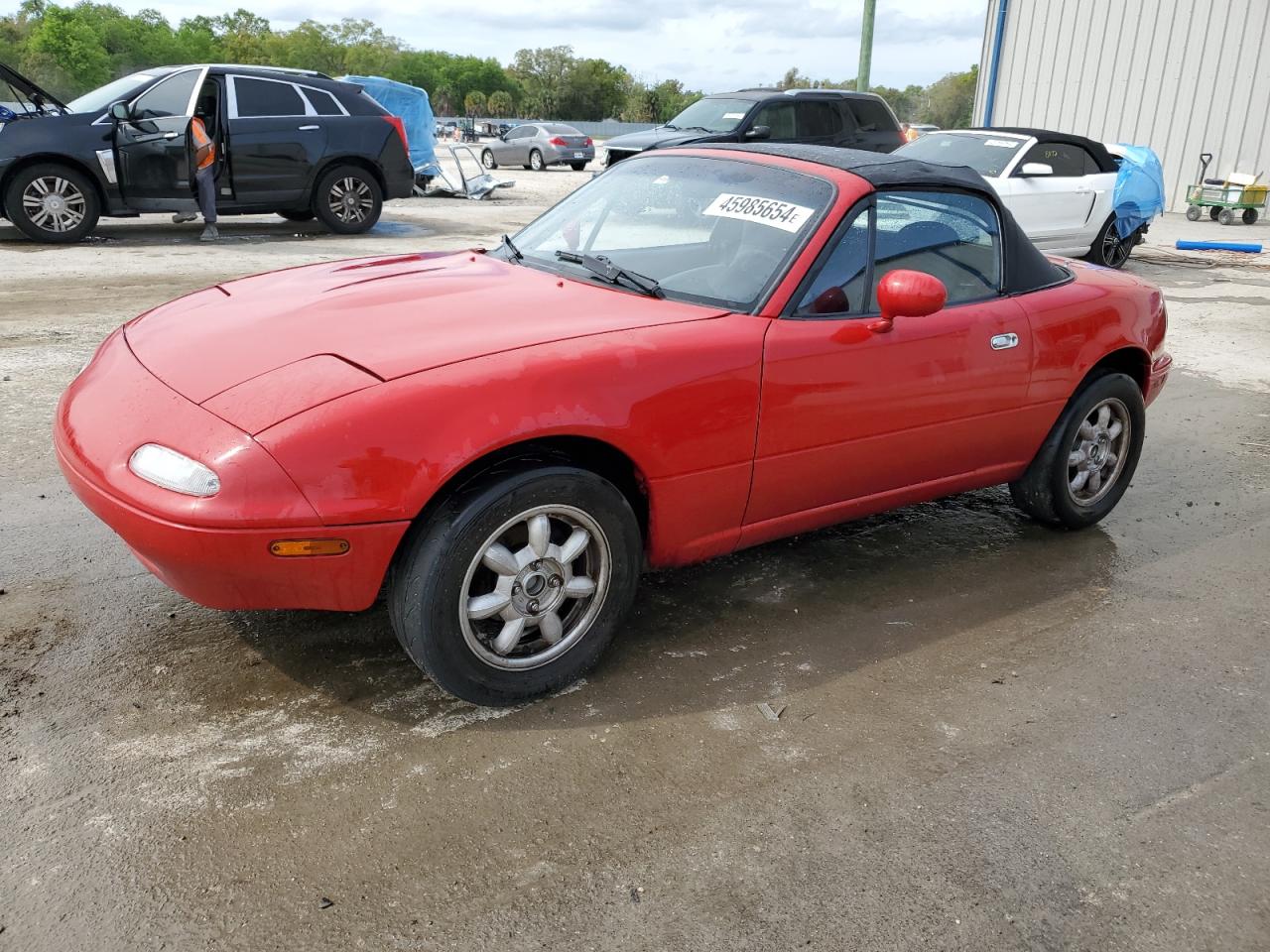 MAZDA MX-5 1991 jm1na3512m1213232