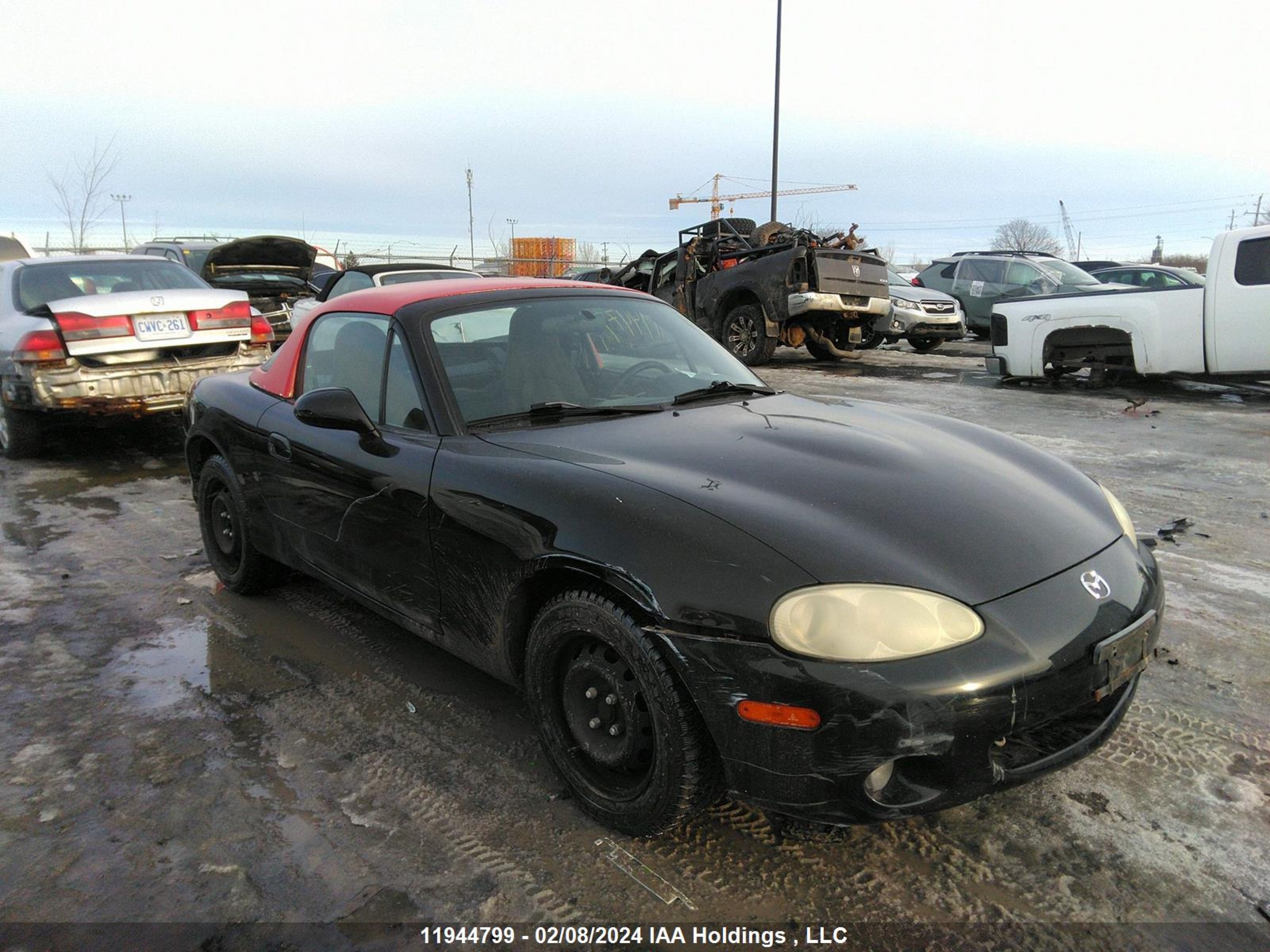 MAZDA MX-5 2003 jm1nb353530310525