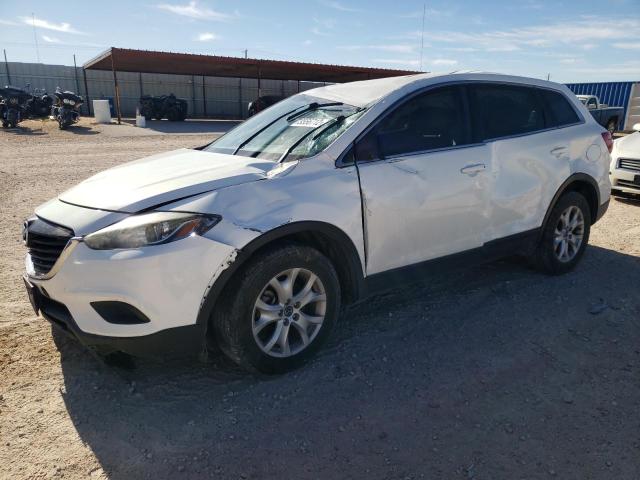 MAZDA CX-9 SPORT 2013 jm3tb2ba1d0420288