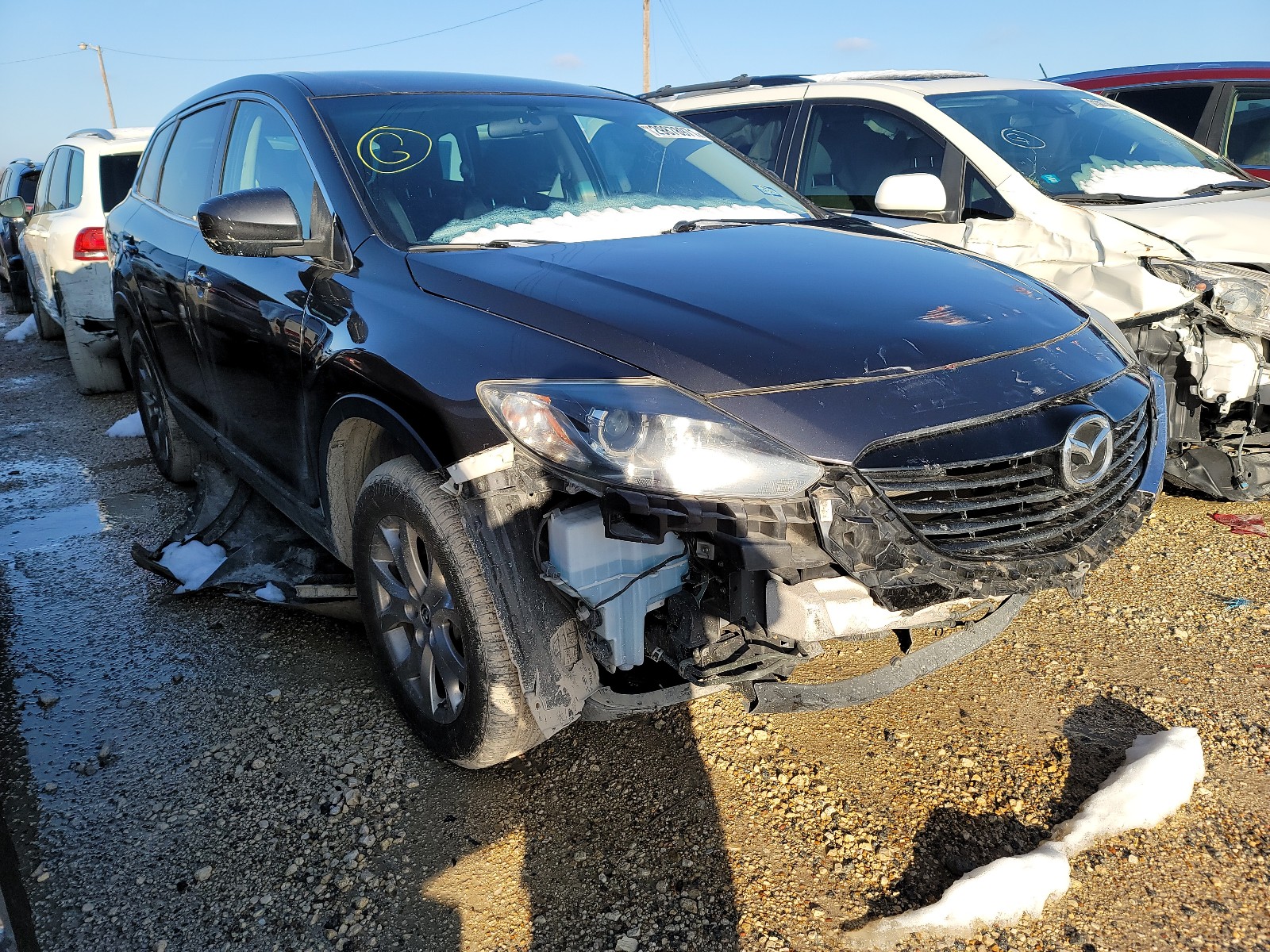 MAZDA CX-9 SPORT 2014 jm3tb2ba5e0443896