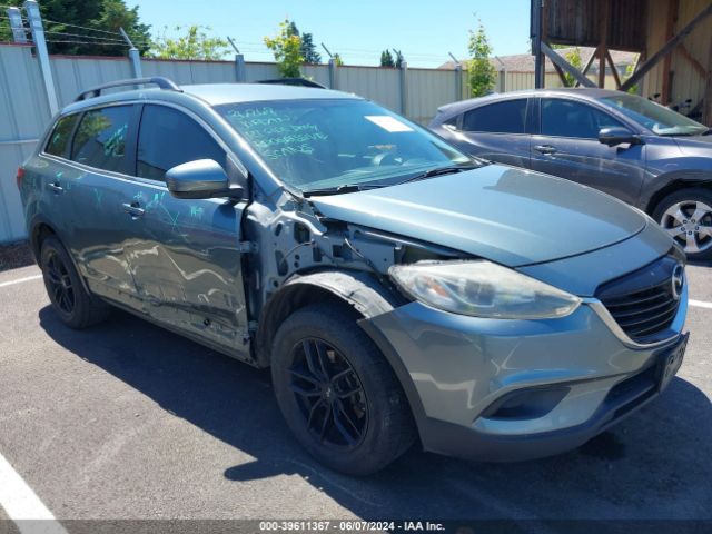 MAZDA CX-9 2013 jm3tb3cv8d0422689