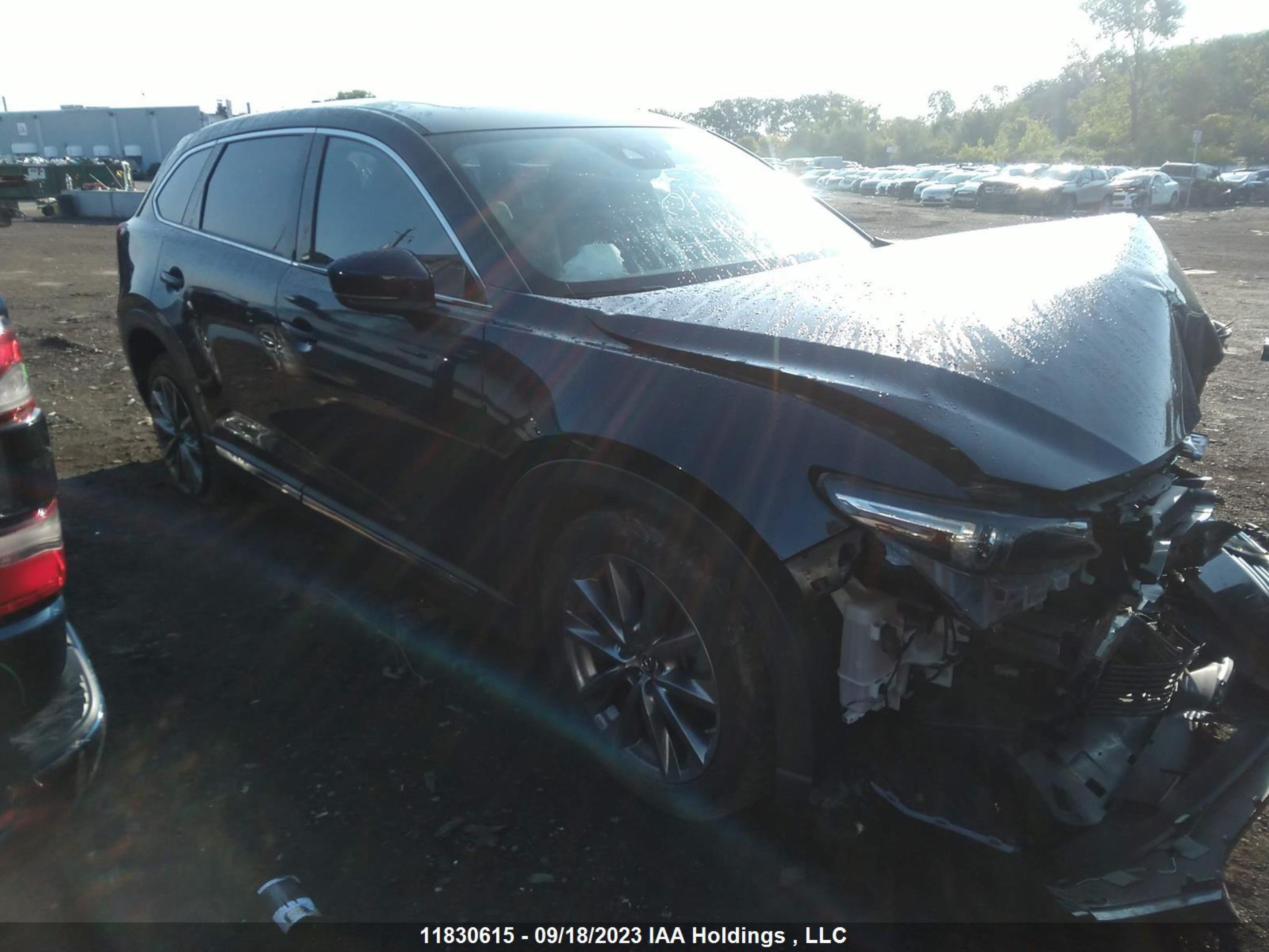 MAZDA CX-9 2019 jm3tcbdy9k0330570