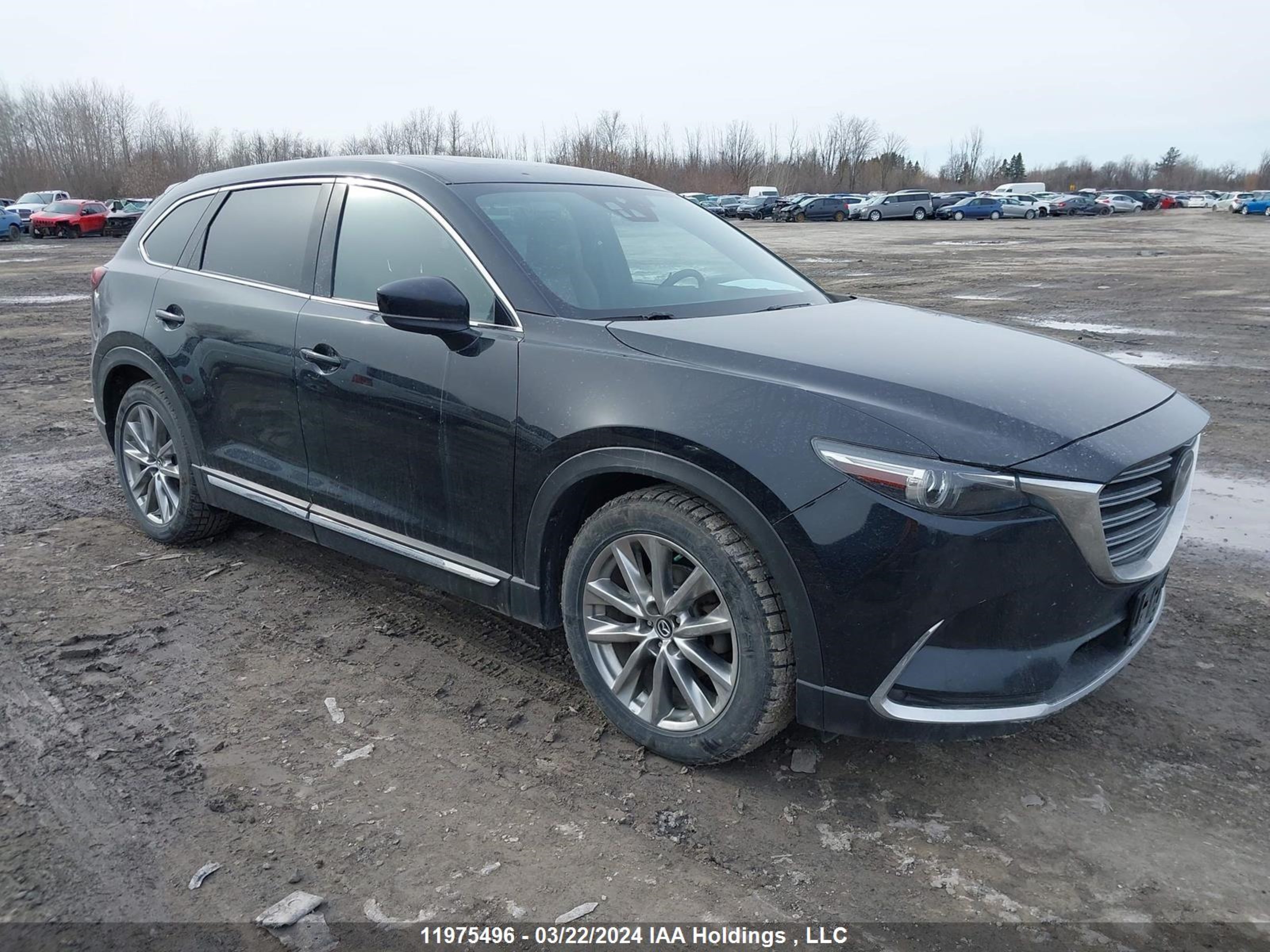 MAZDA CX-9 2017 jm3tcbey3h0138309