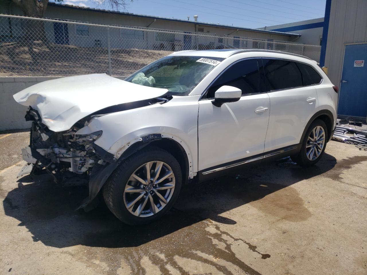 MAZDA CX-9 2019 jm3tcbeyxk0300833