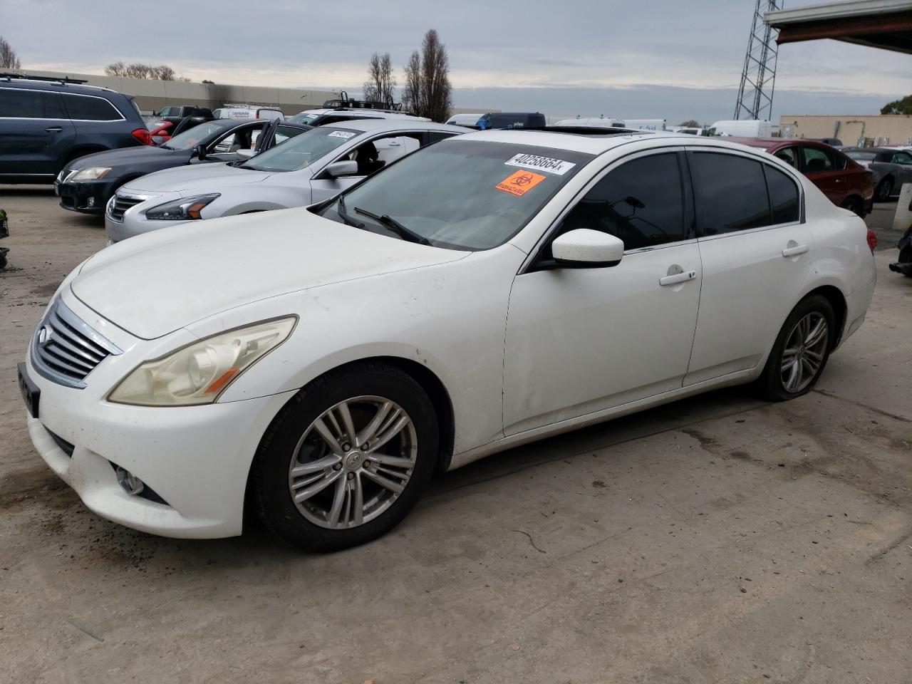 INFINITI G 2010 jn1cv6ap1am201058