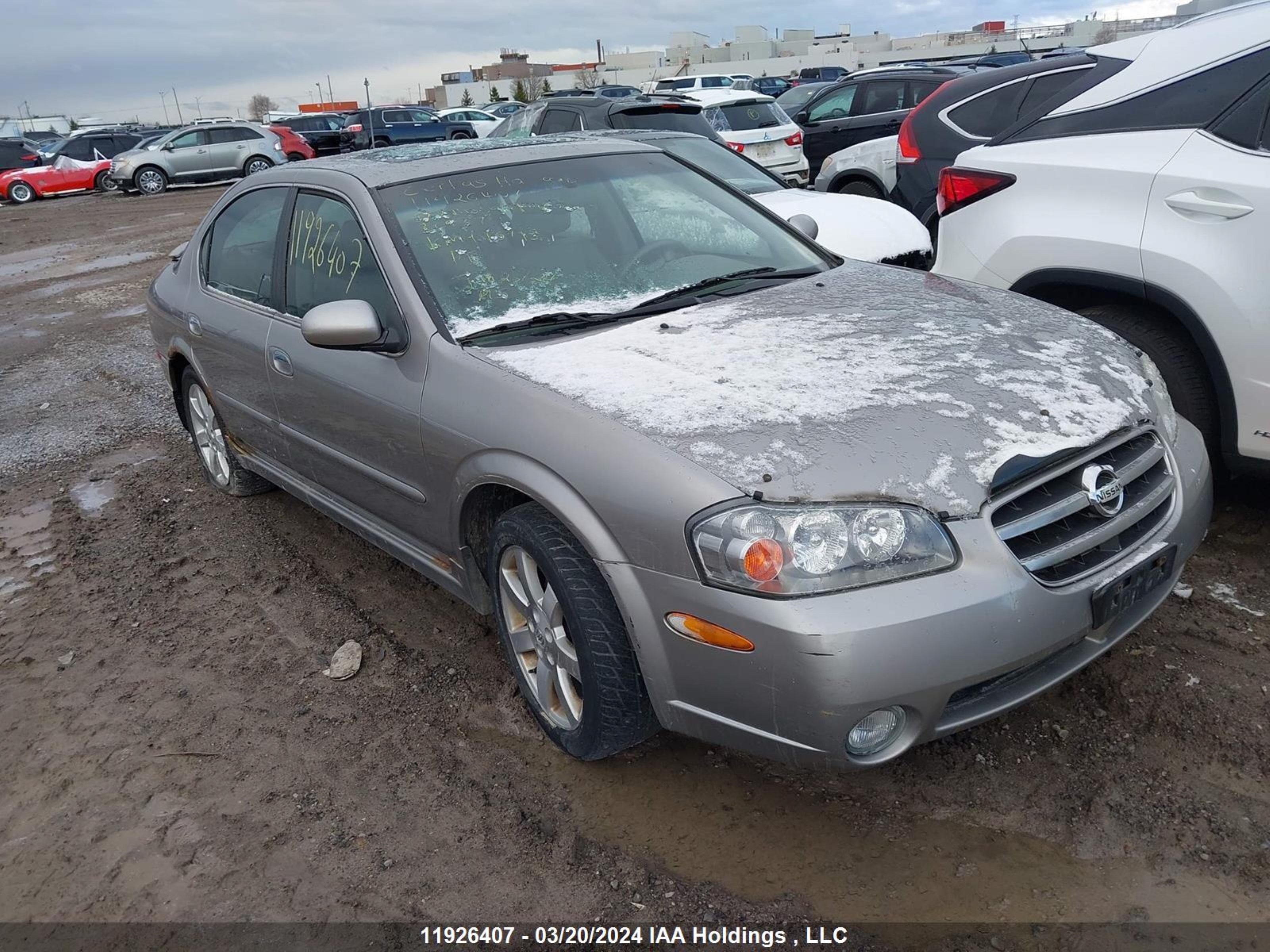 NISSAN MAXIMA 2002 jn1da31a12t309374