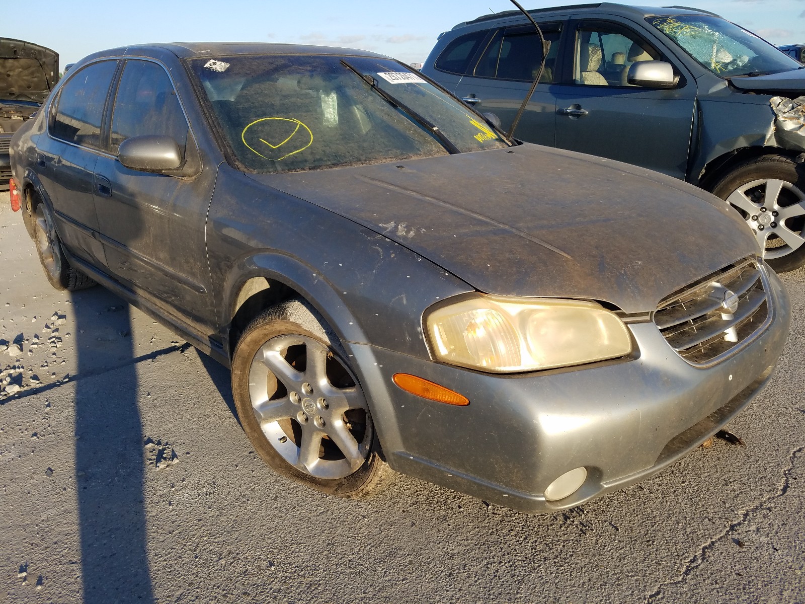 NISSAN MAXIMA 2003 jn1da31a53t414601