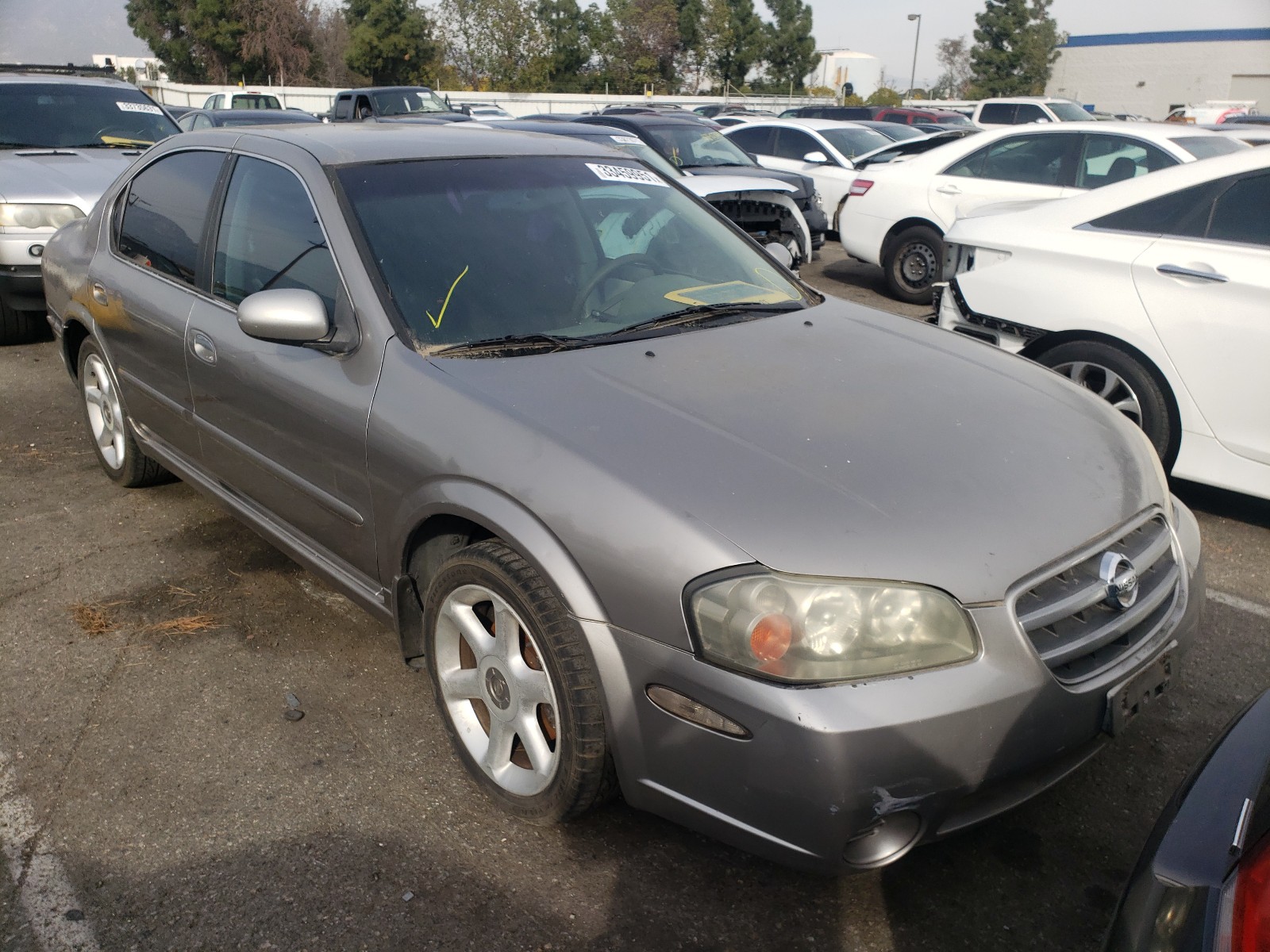 NISSAN MAX GLE 2002 jn1da31d42t451910