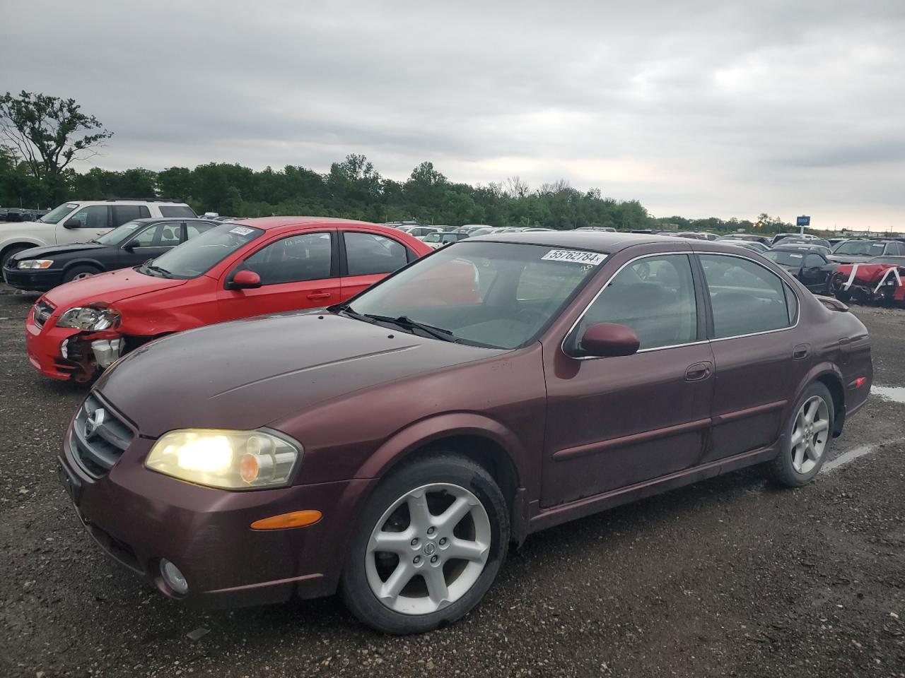 NISSAN MAXIMA 2002 jn1da31d72t442330