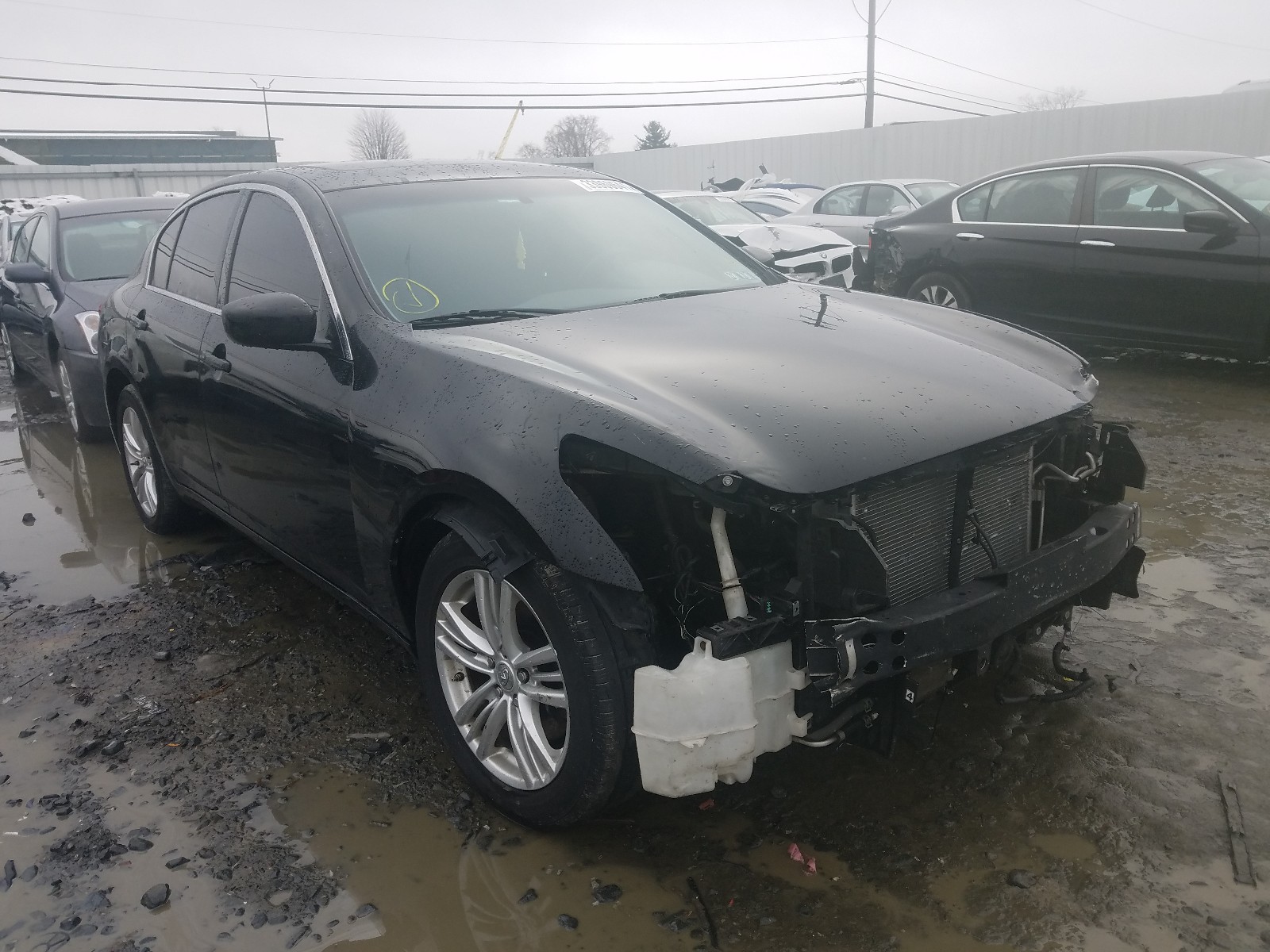 INFINITI NULL 2011 jn1dv6ar4bm651505