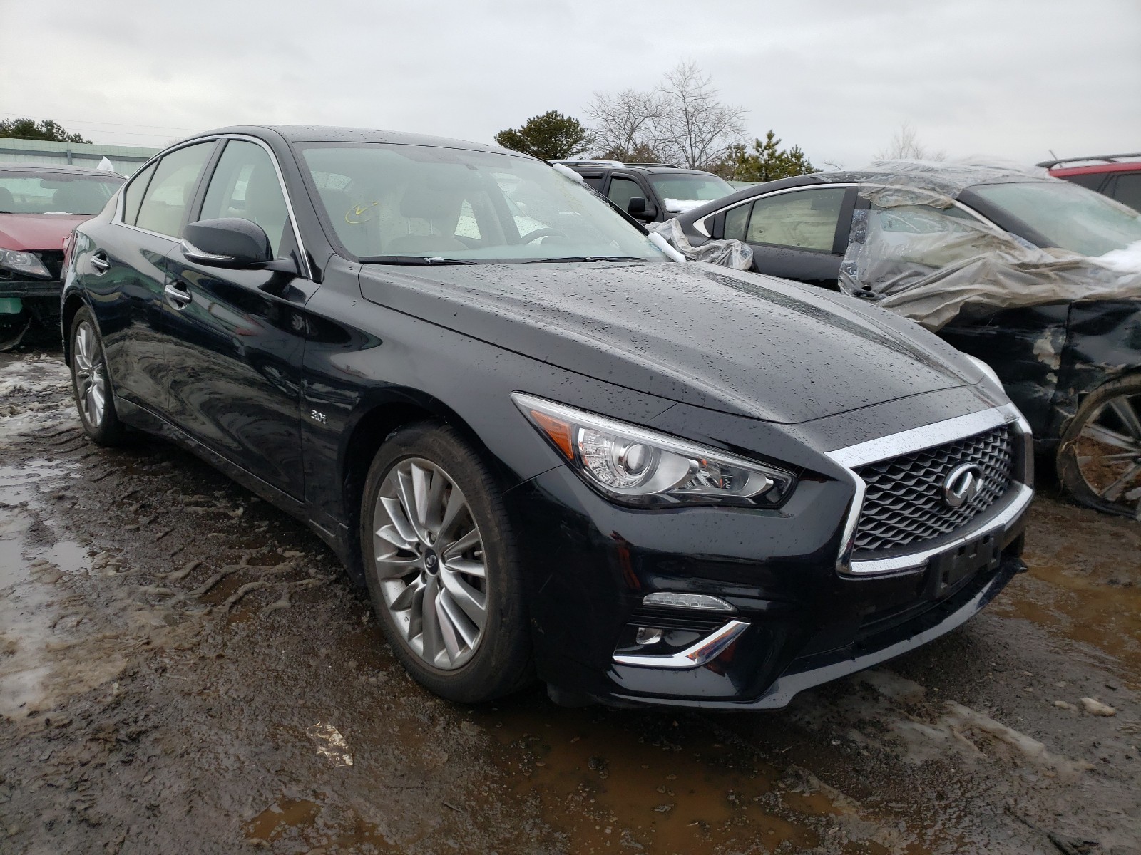 INFINITI Q50 LUXE 2019 jn1ev7ar1km551369