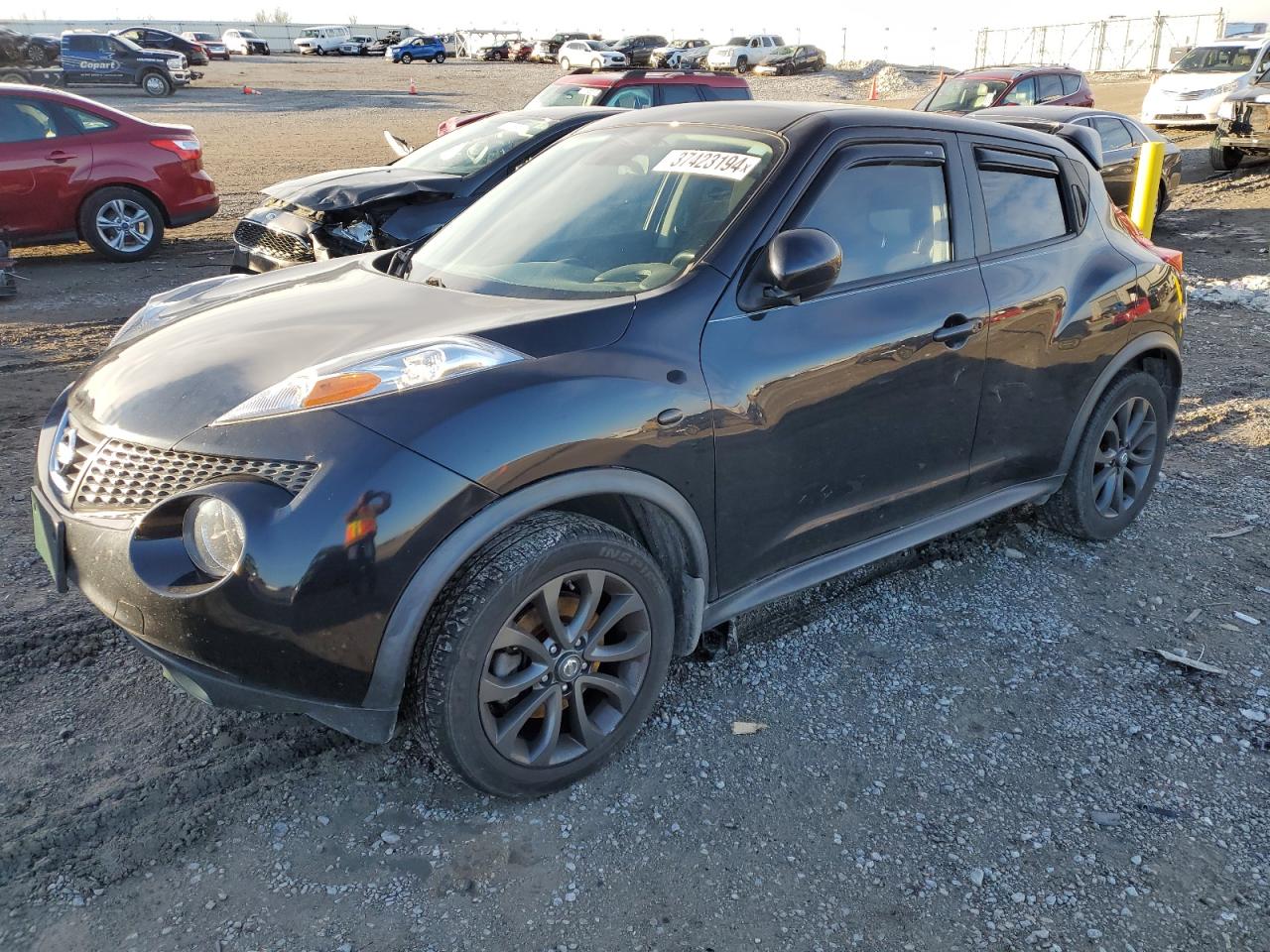 NISSAN JUKE 2013 jn8af5mr8dt211089