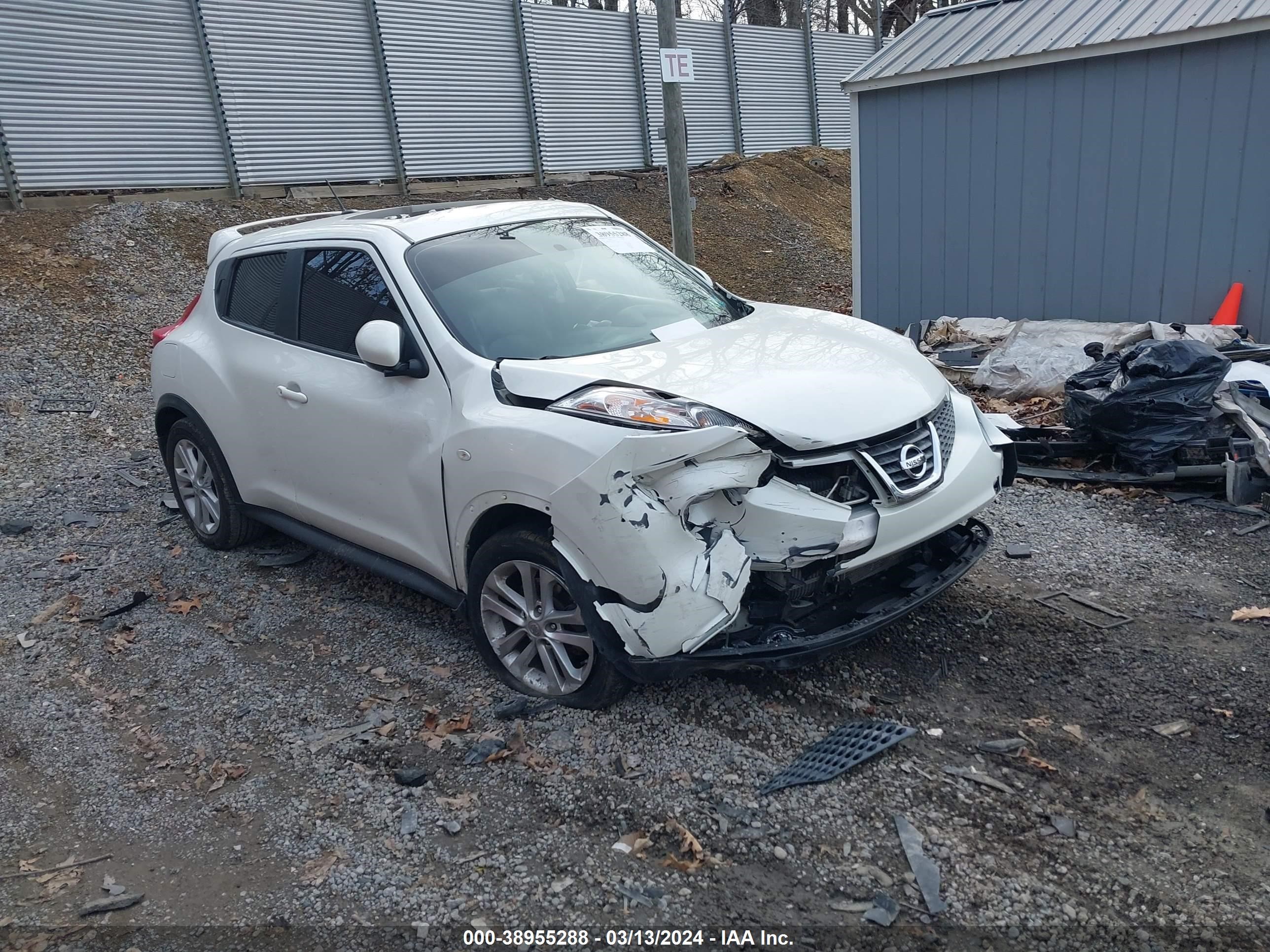 NISSAN JUKE 2013 jn8af5mvxdt220289