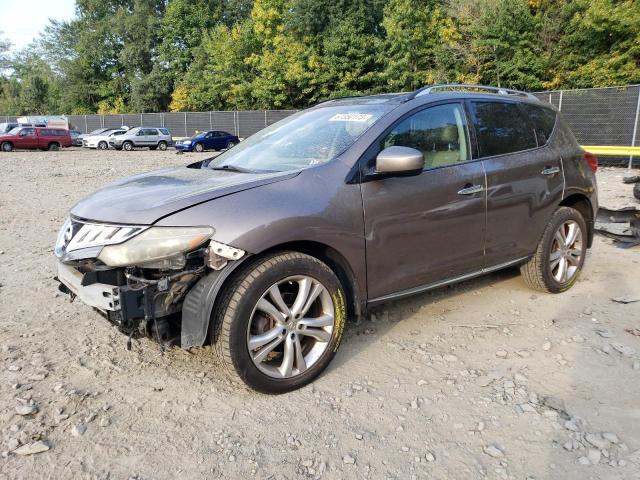 NISSAN MURANO S 2009 jn8az18w19w132840