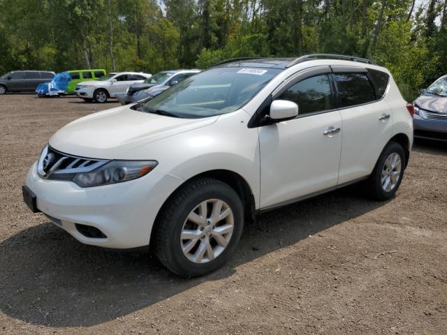 NISSAN MURANO S 2014 jn8az1mw4ew519477