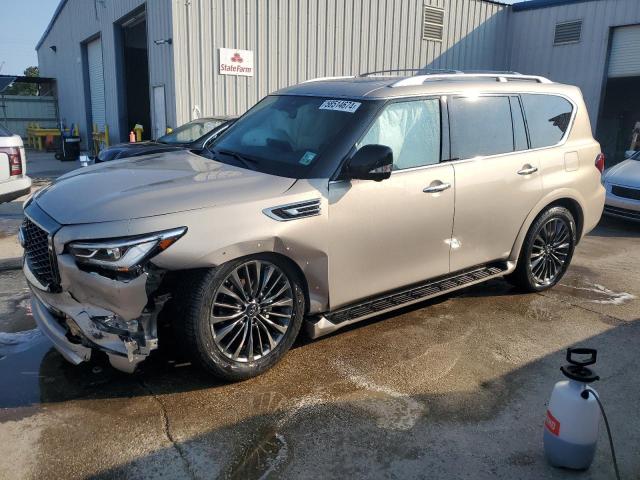 INFINITI QX80 SENSO 2024 jn8az2be0r9325095